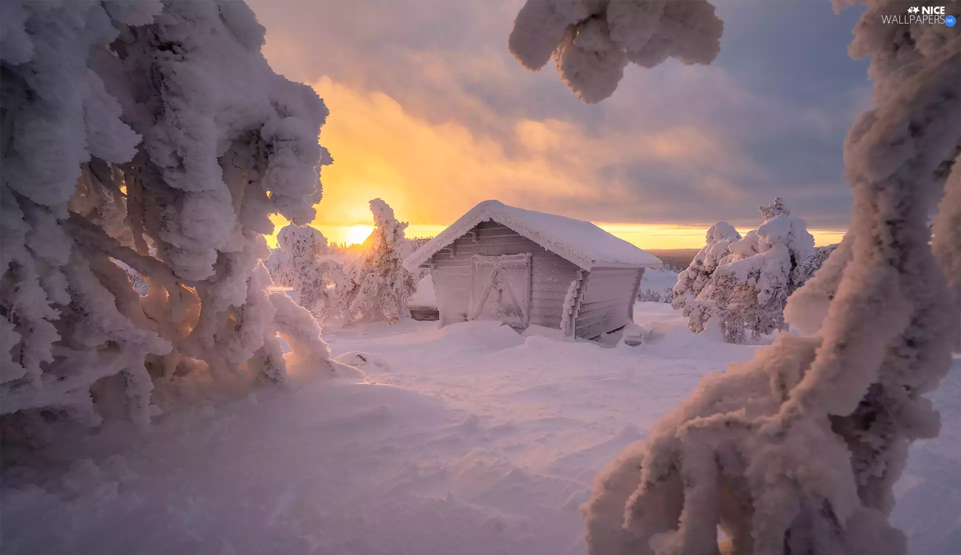 trees, viewes, Great Sunsets, snowy, rays of the Sun, snow, winter, cote