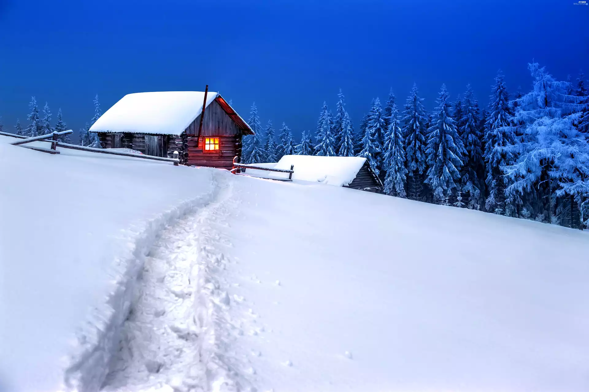 Path, snow, house, Snow-covered Trees, winter