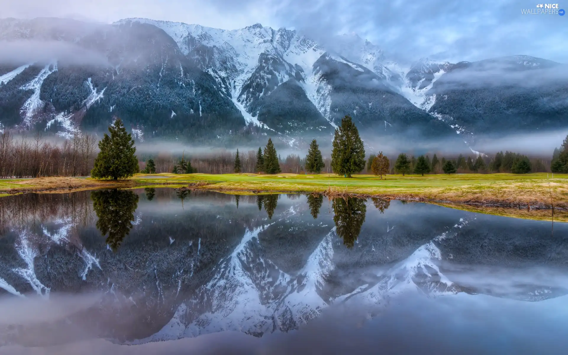 snow, Mountains, trees, viewes, grass, coast, lake, reflection, Fog