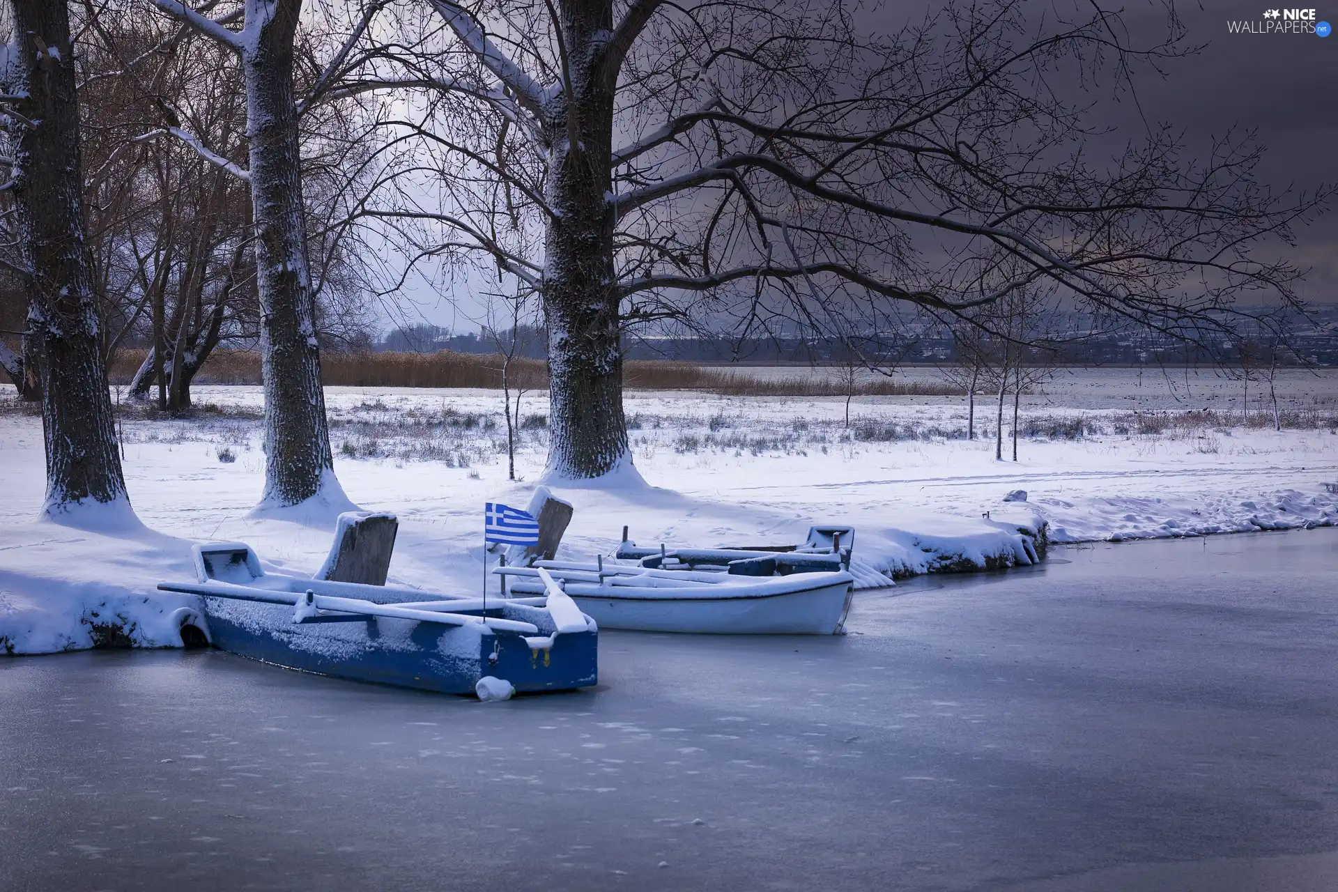boats, winter, viewes, snow, trees, lake
