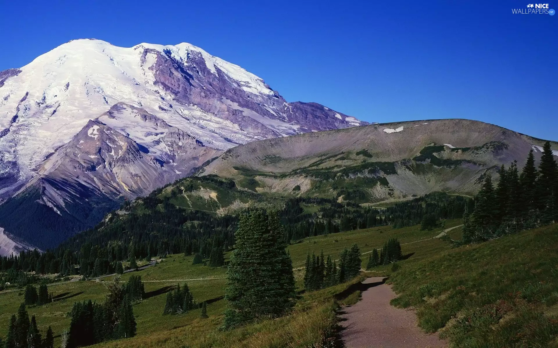 mountains, forest, Way, snow