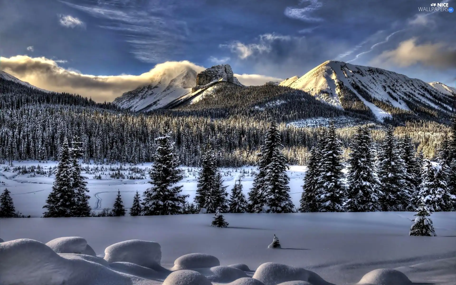 Mountains, winter, snow, forest