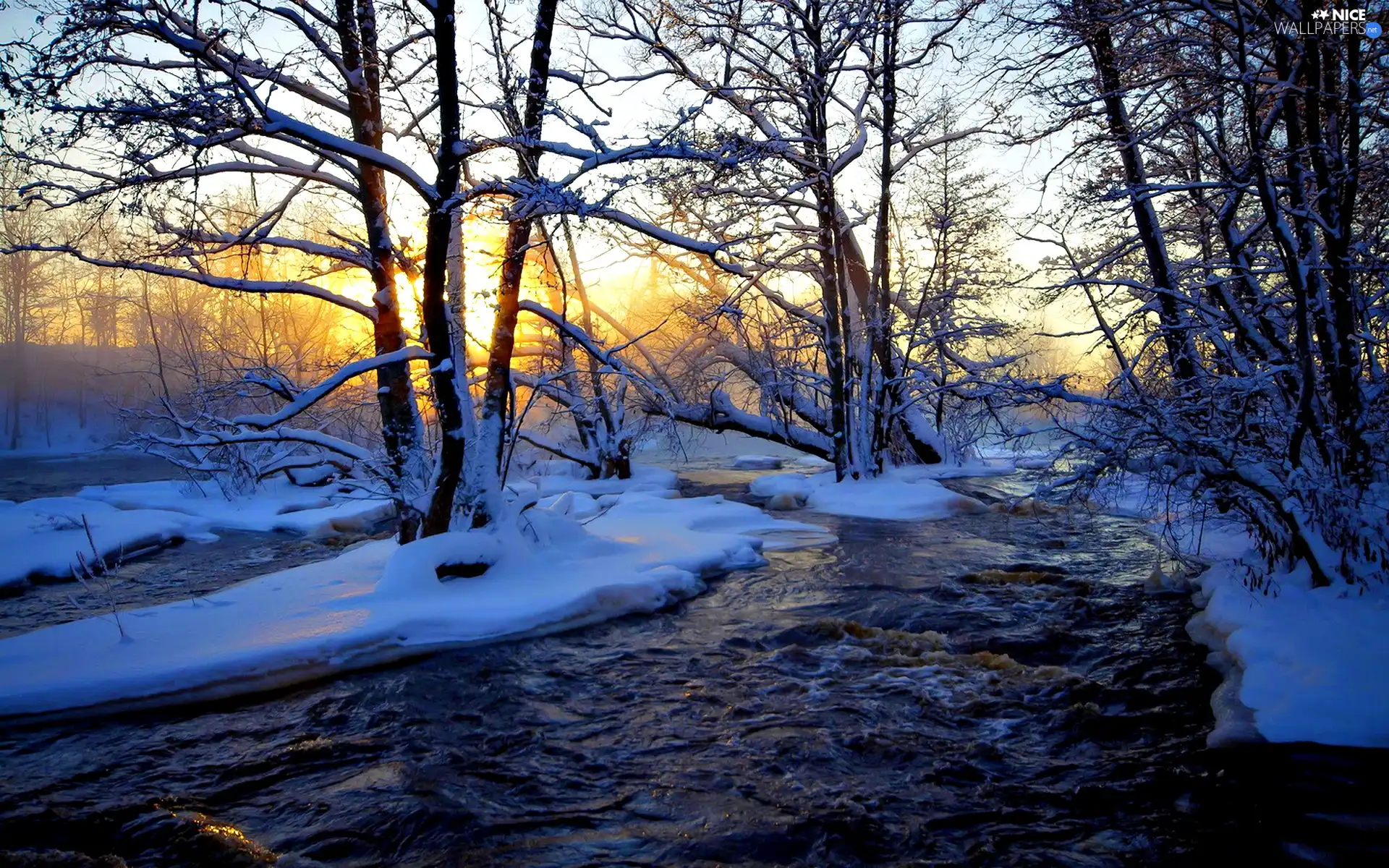 snow, River, viewes, Great Sunsets, trees