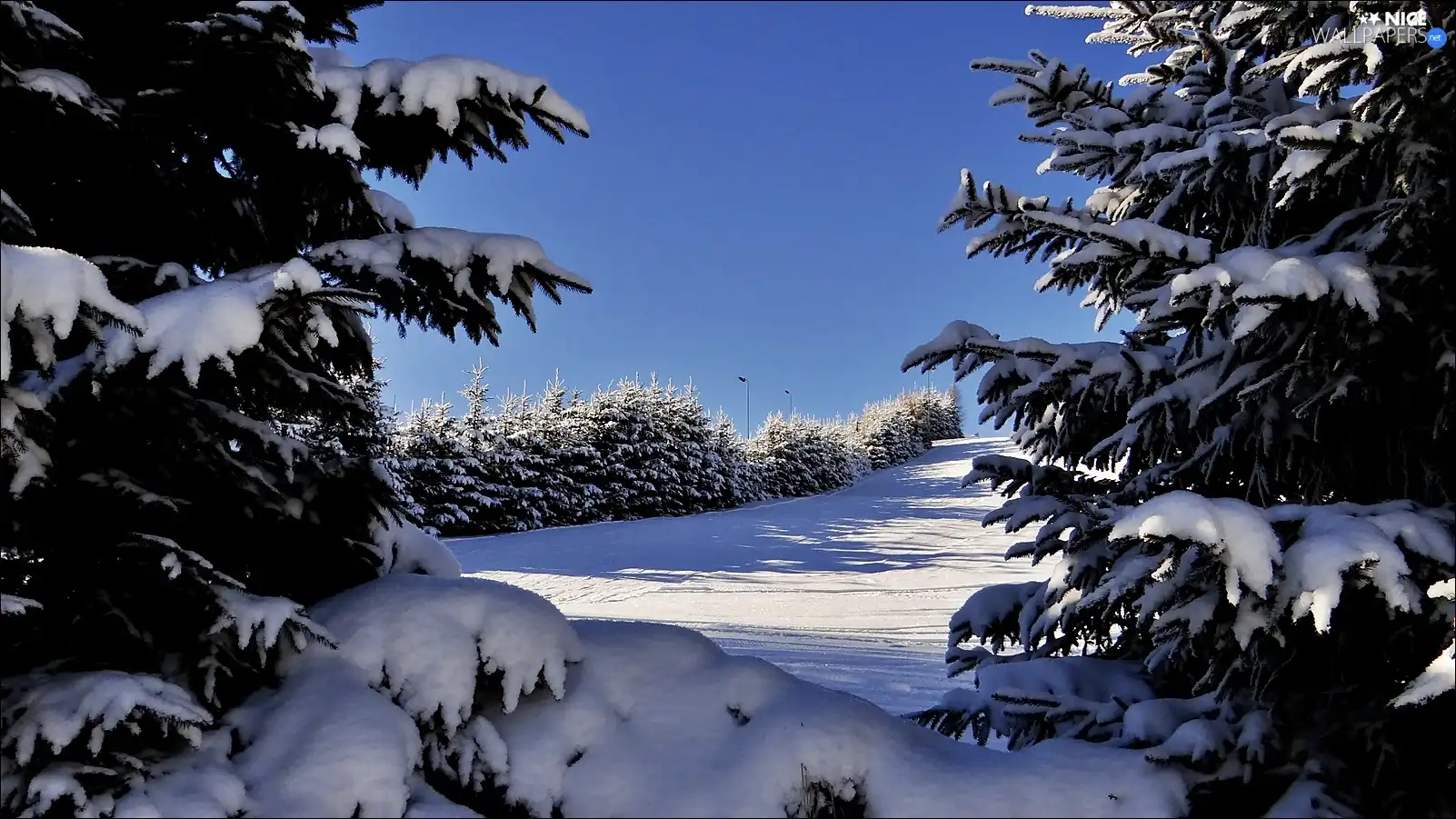 Hill-side, Christmas, snow