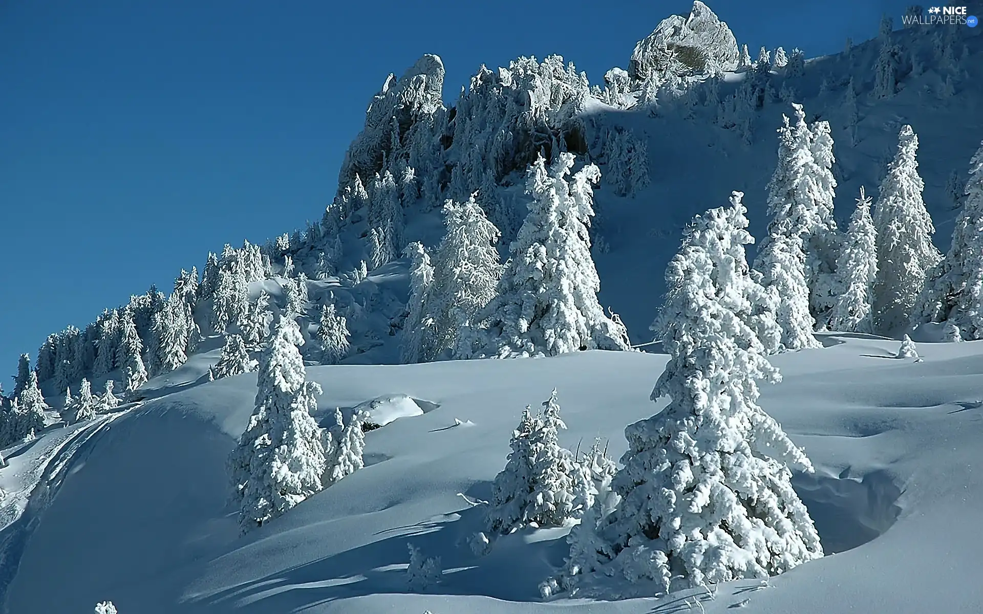 snow, Sky, trees, viewes, Mountains