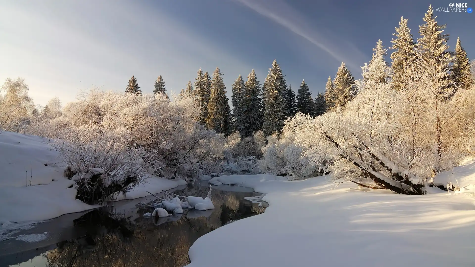 Sky, River, snow, forest