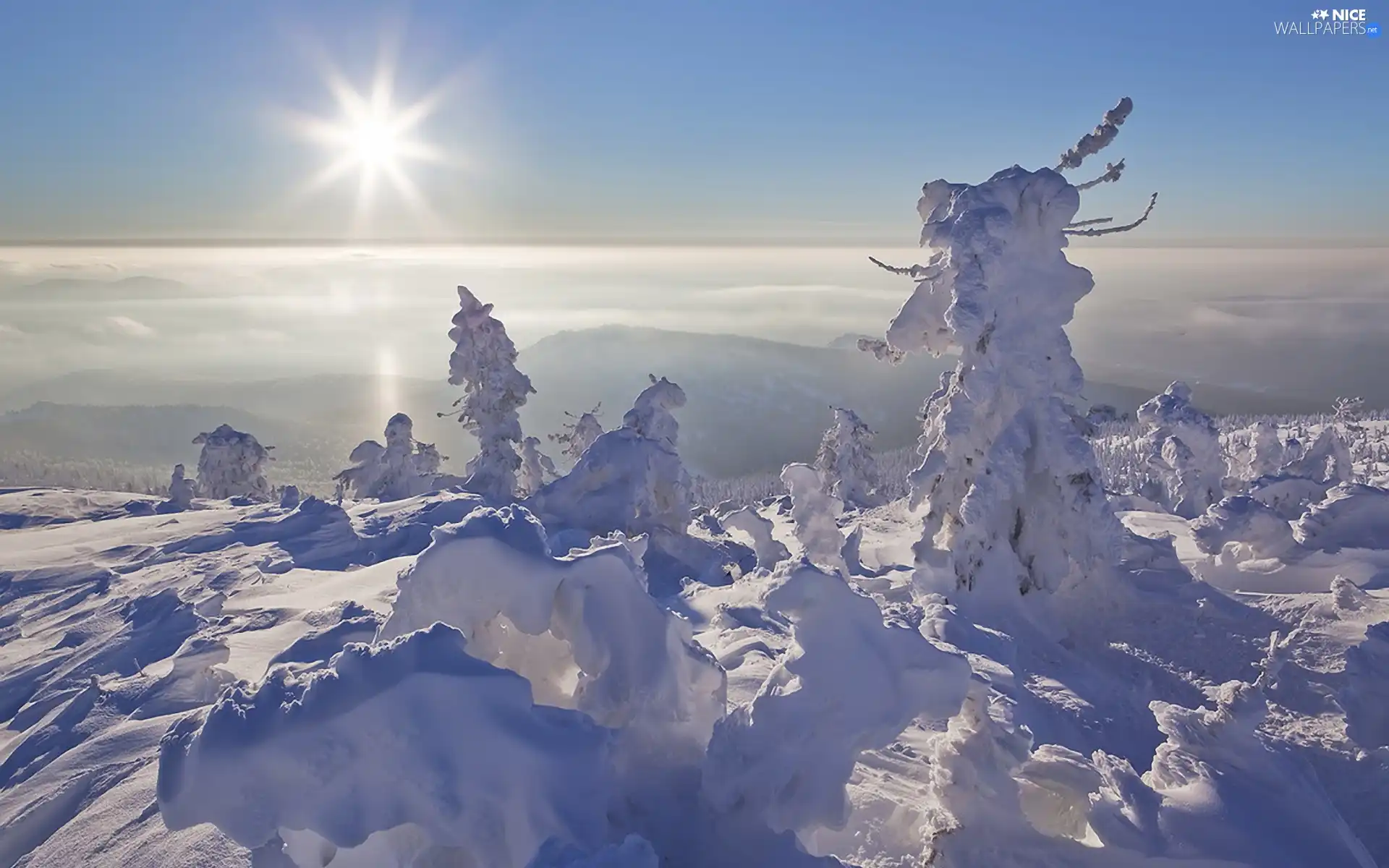 snow, sun, viewes, Mountains, trees