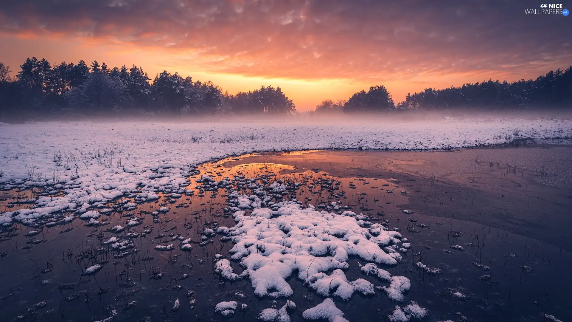 Icecream, lake, trees, snow, winter, Fog, viewes