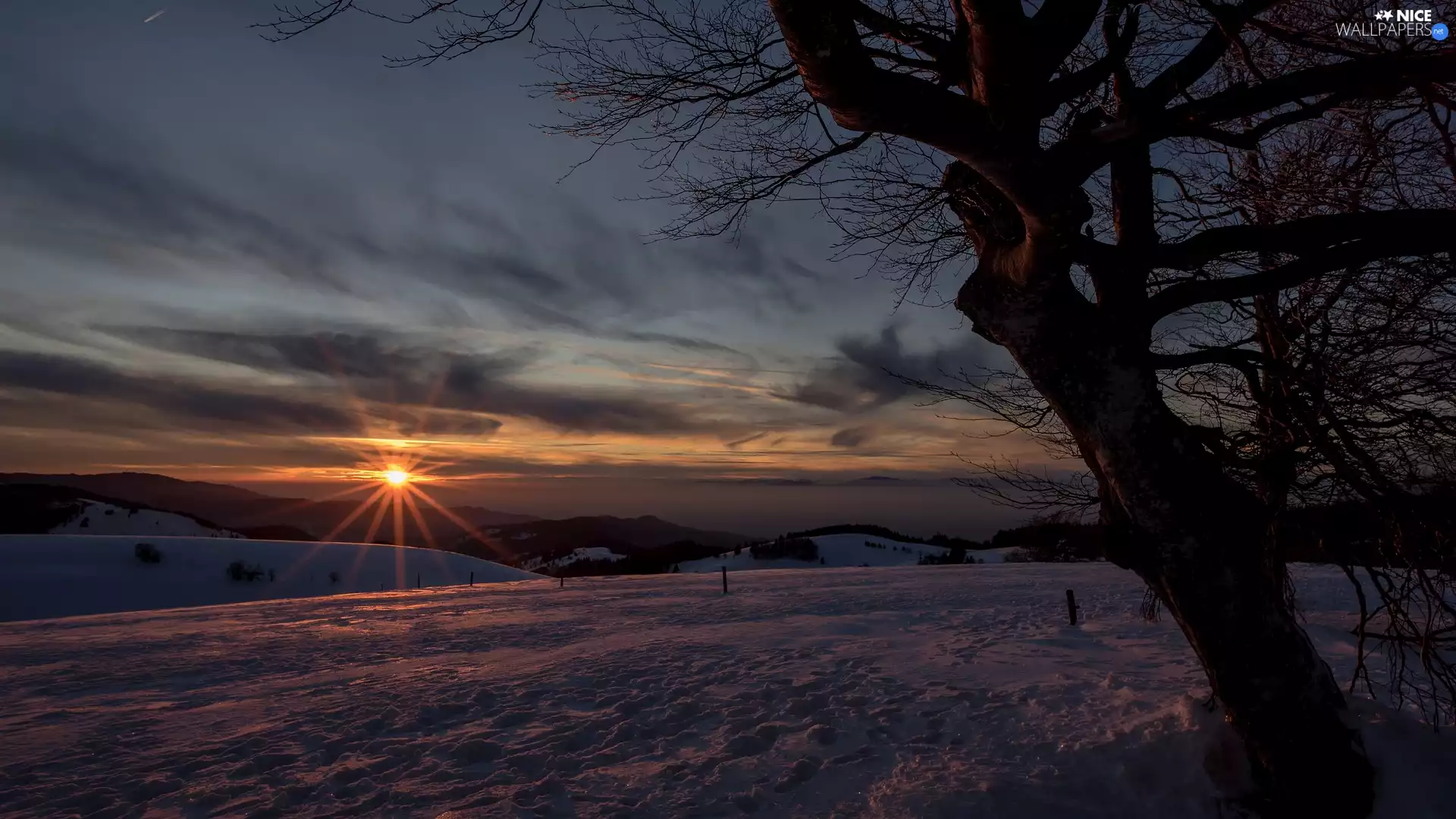 snow, Great Sunsets, rays of the Sun, clouds, trees, winter