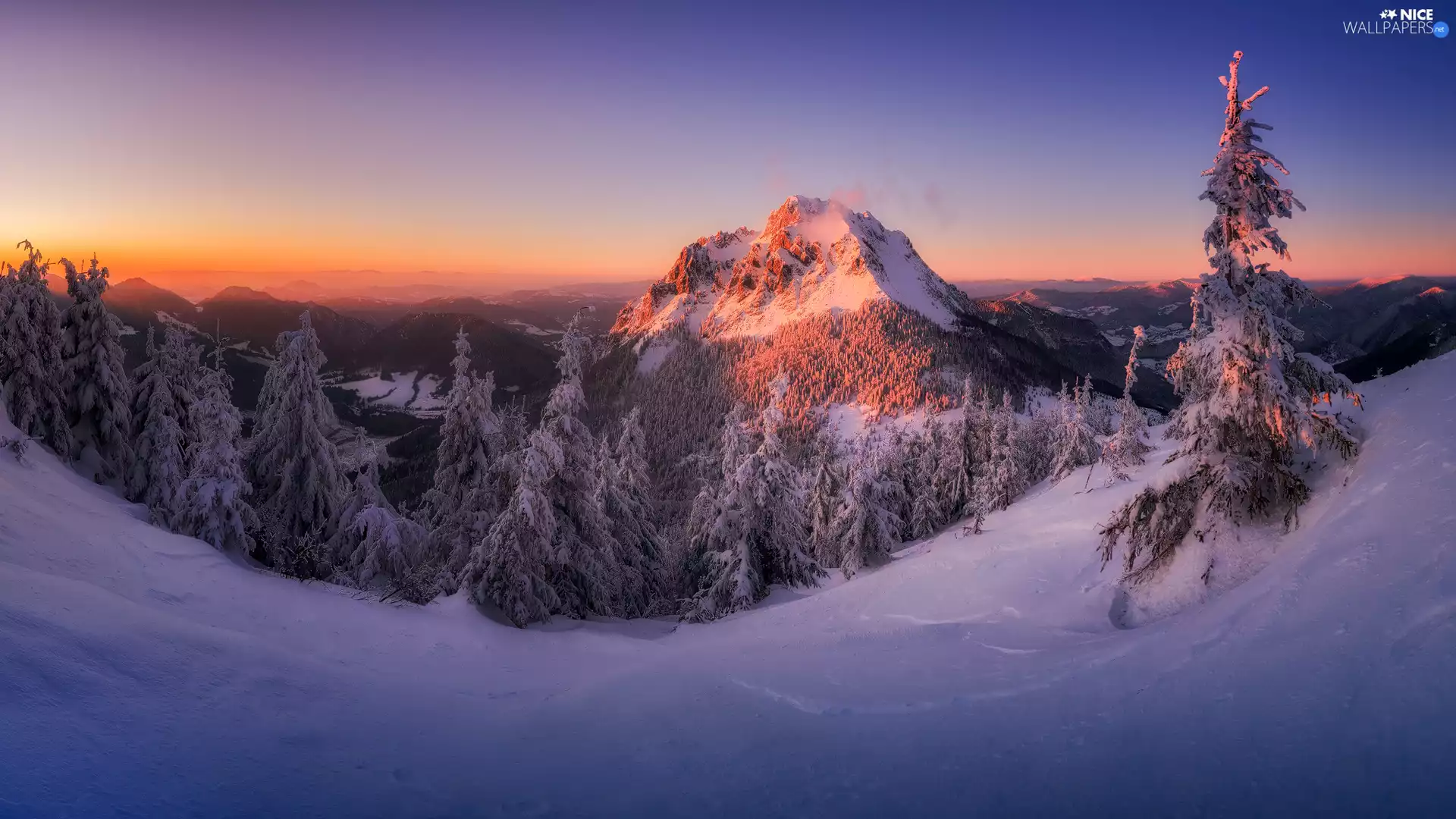 Mountains, snow, trees, viewes, winter