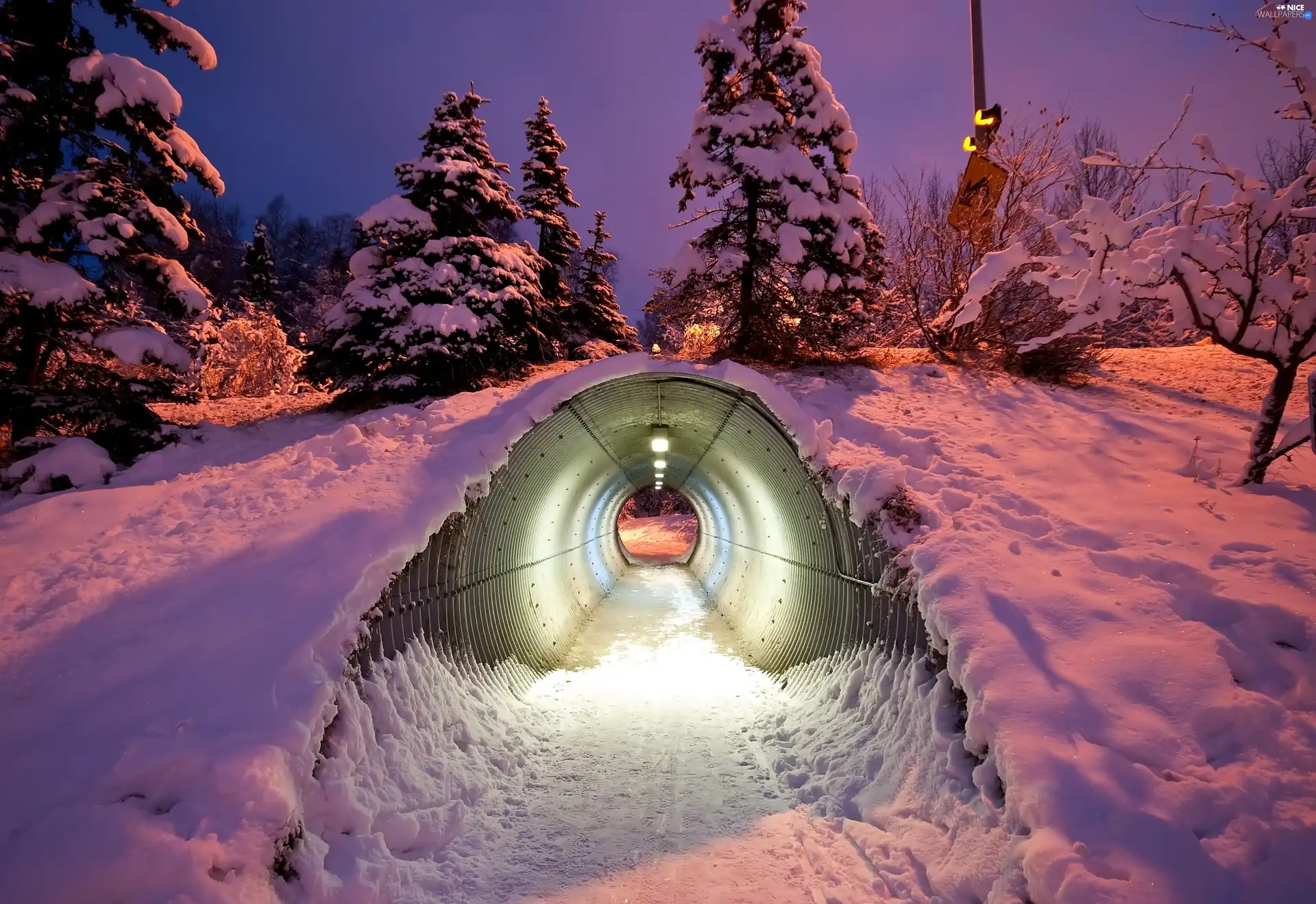 snow, twilight, viewes, tunnel, trees