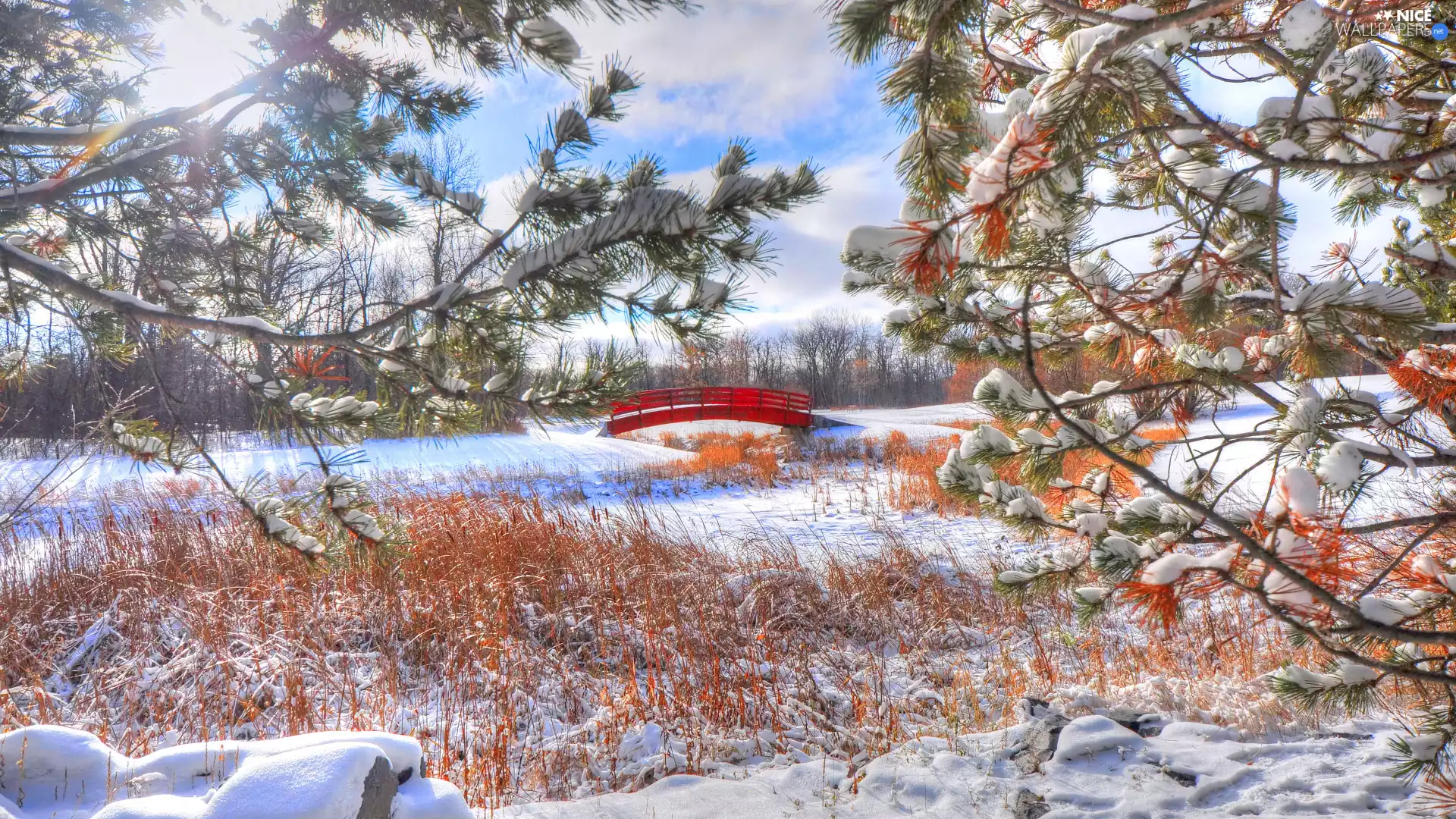 snow, winter, Red, bridges, sunny, day, viewes, grass, trees