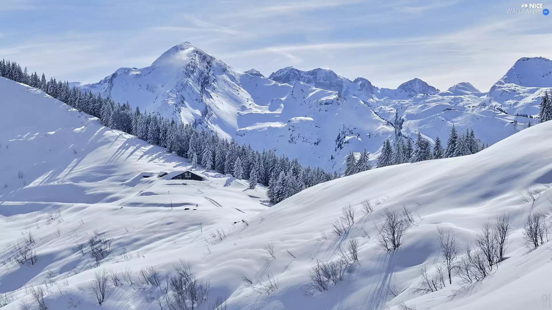 Snowy, Mountains, viewes, snow, winter, trees, Spruces