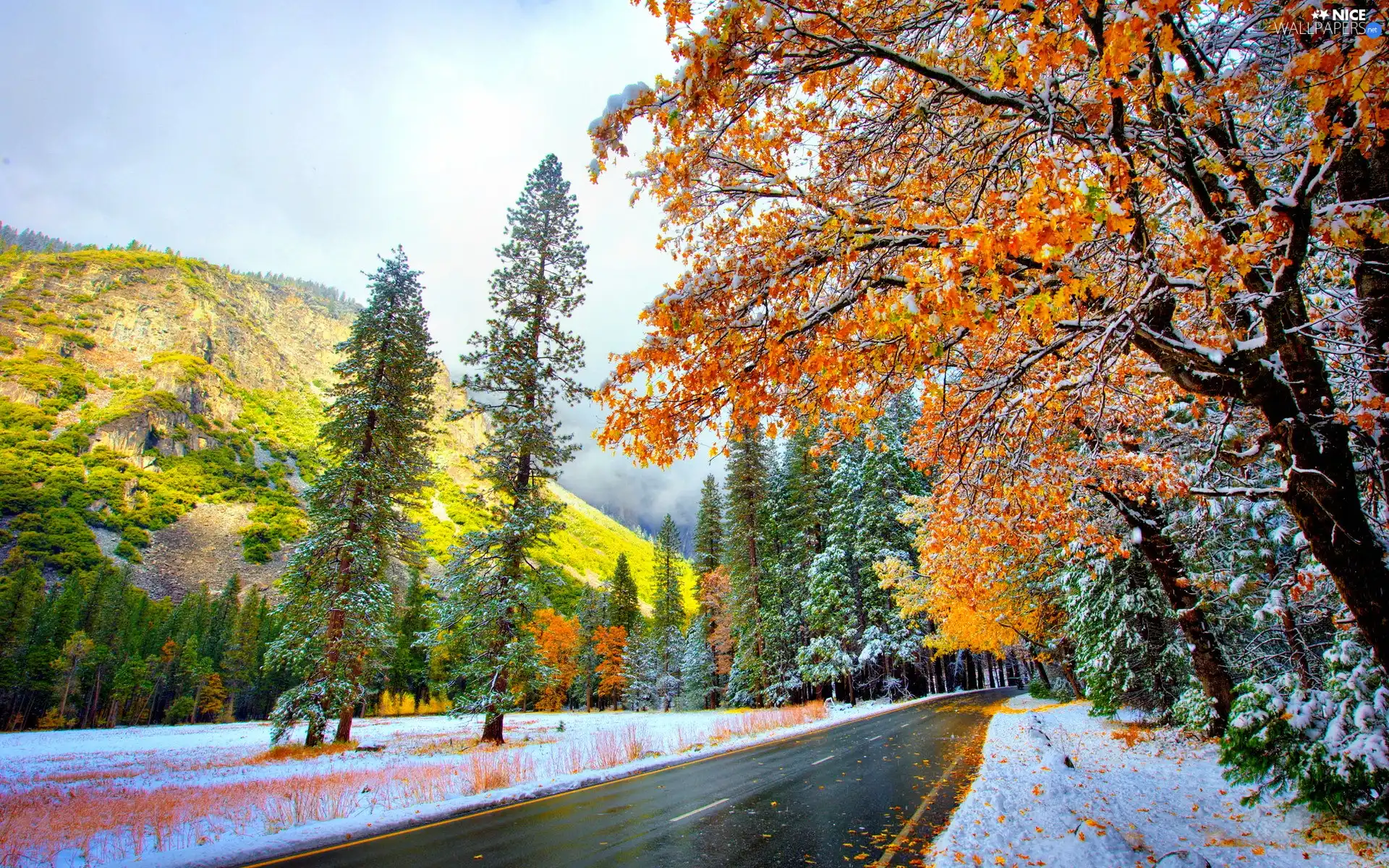 Way, first, snow, Mountains