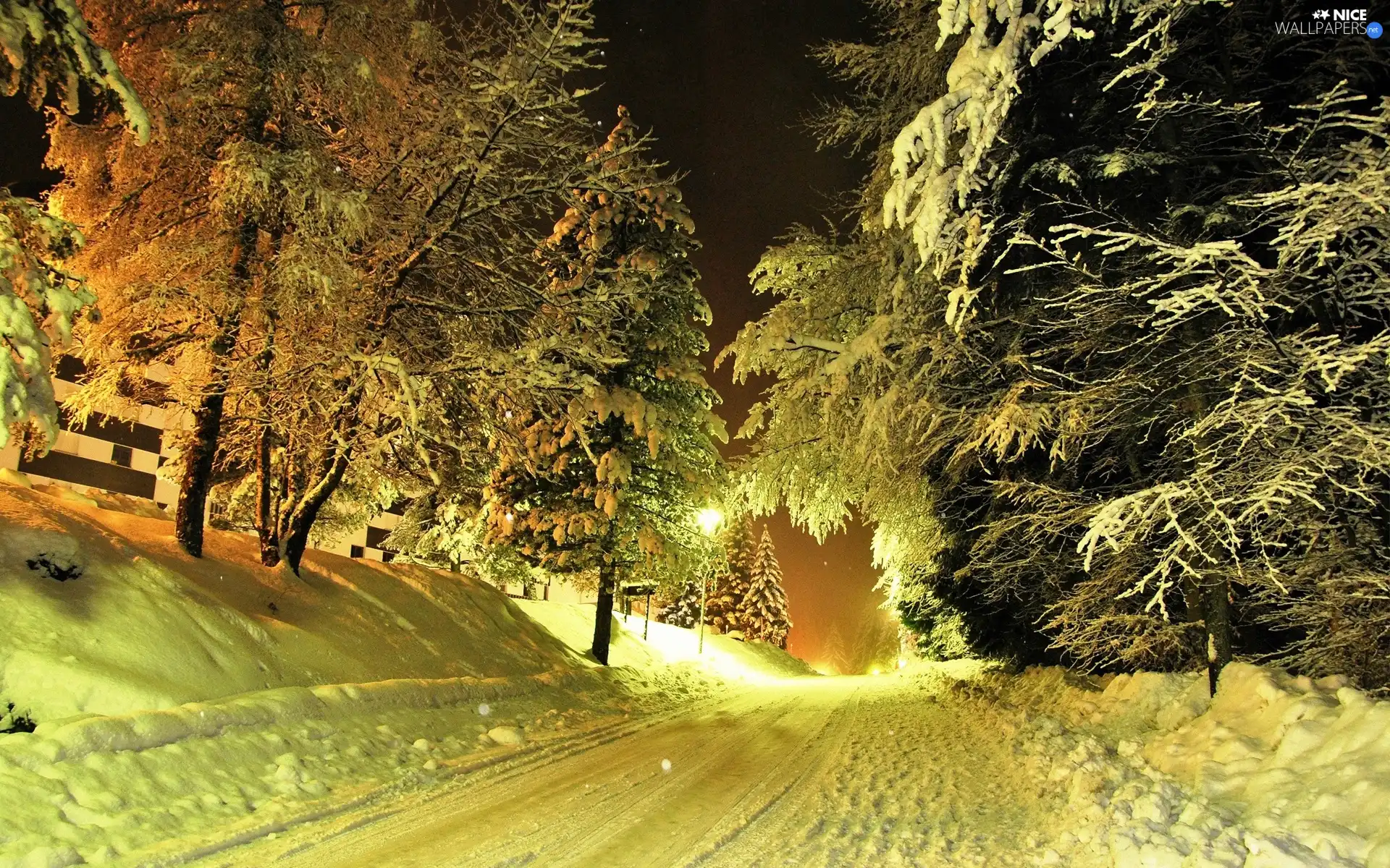 Way, viewes, snow, trees