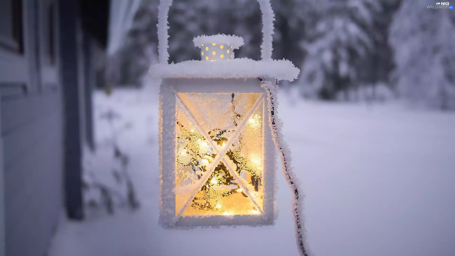 lantern, snow, White frost, illuminated