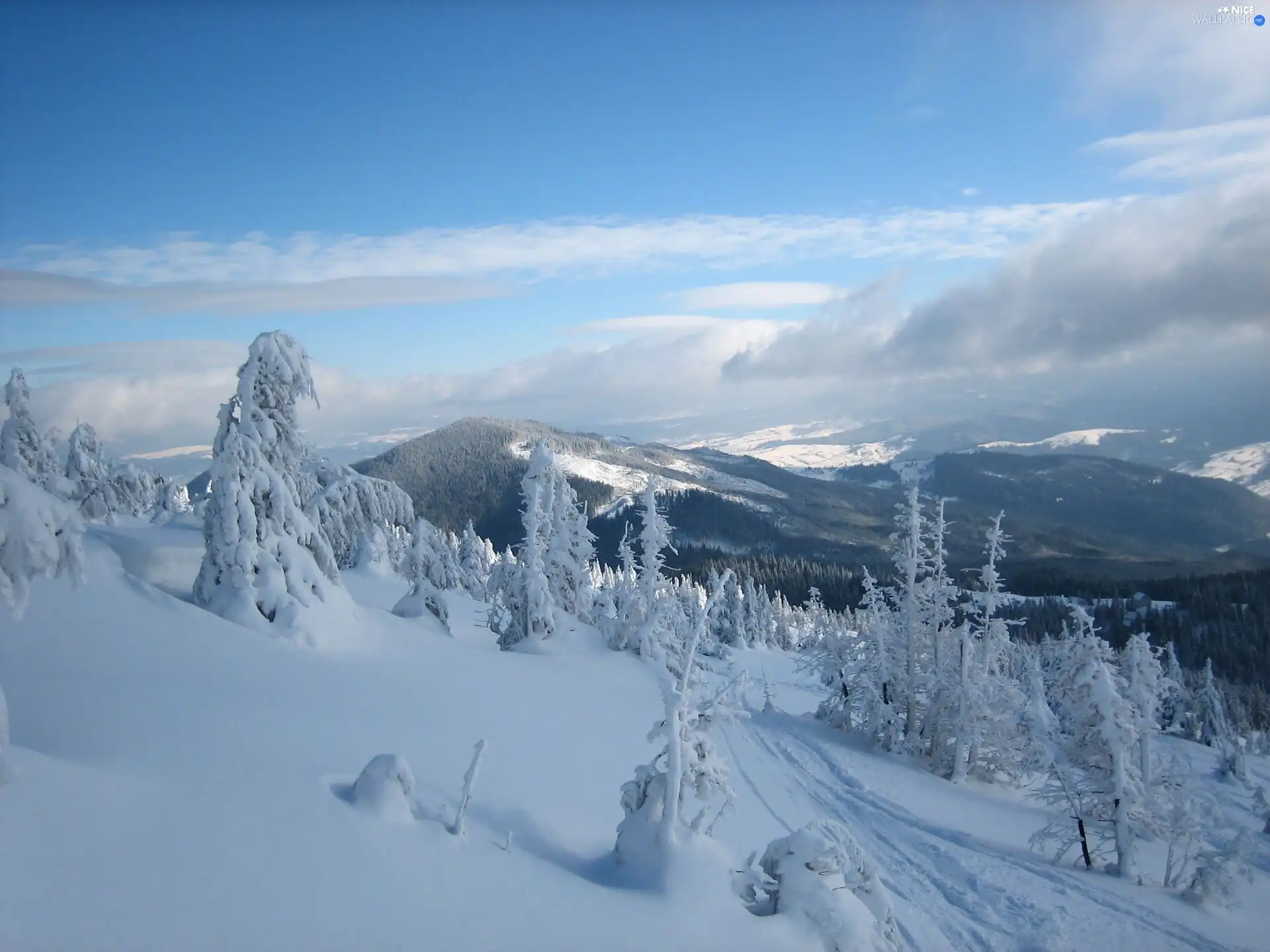 snow, winter, trees, viewes, Mountains