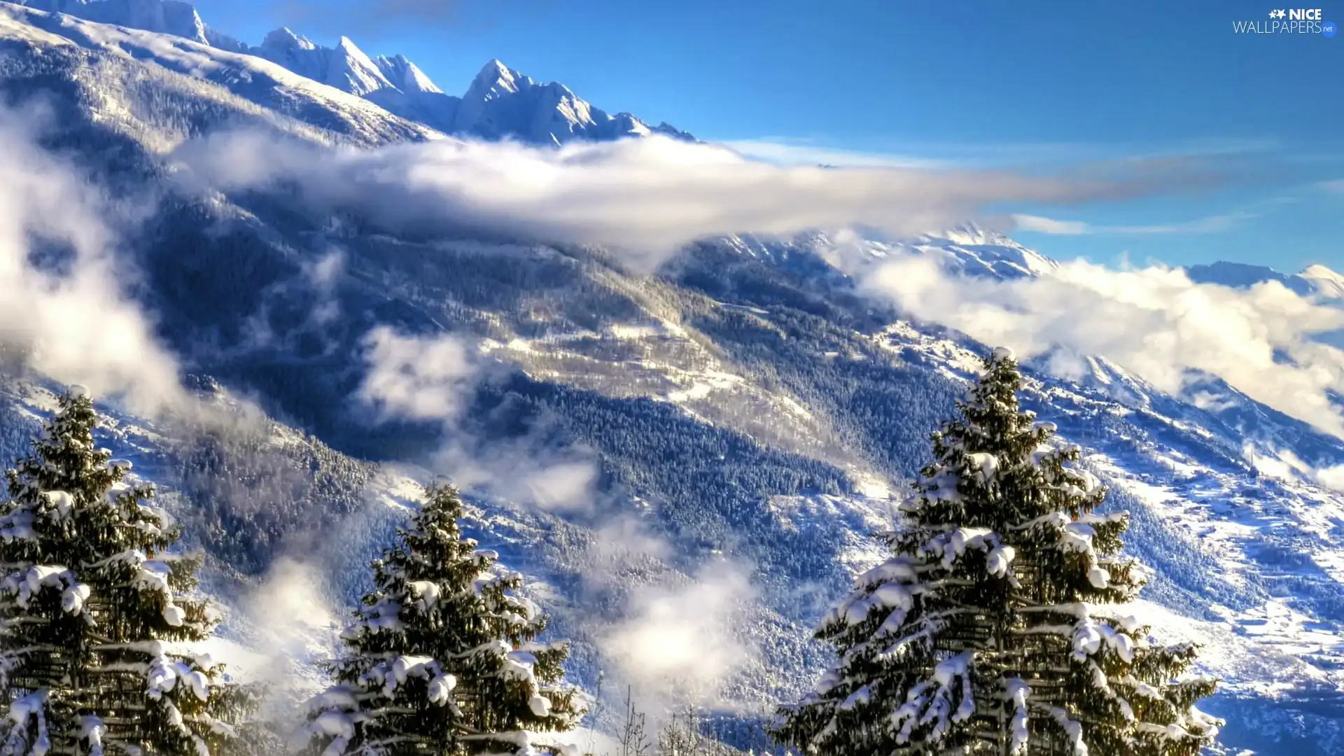 trees, rocks, snow, winter, viewes, clouds