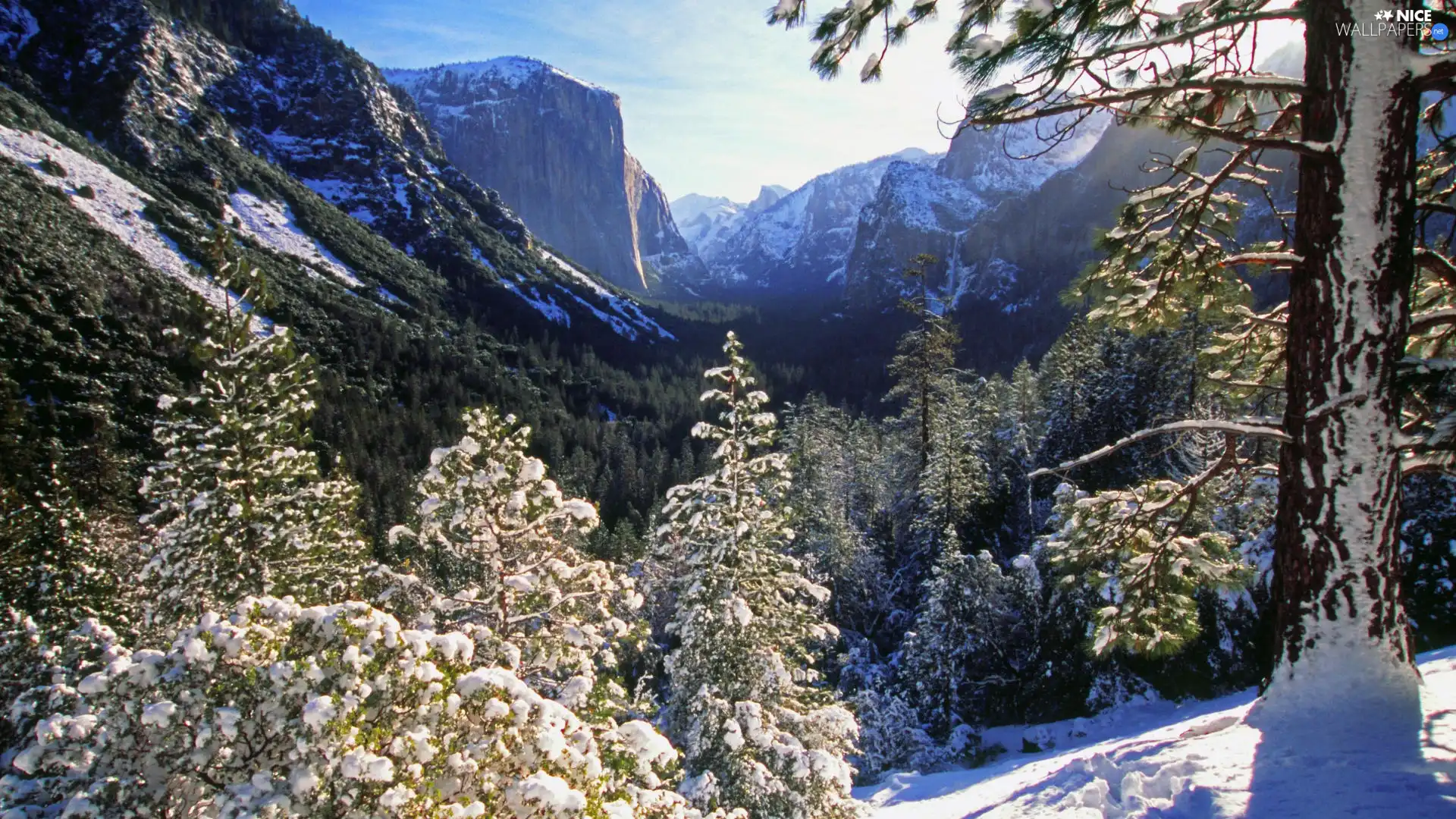 snow, Mountains, woods