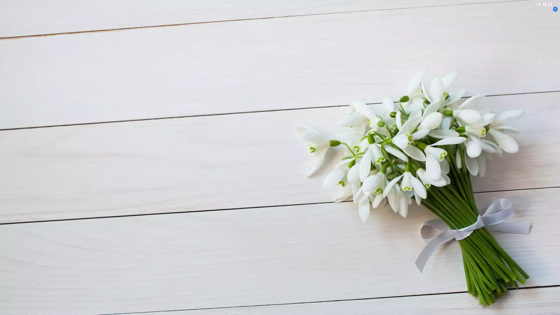 boarding, small bunch, snowdrops