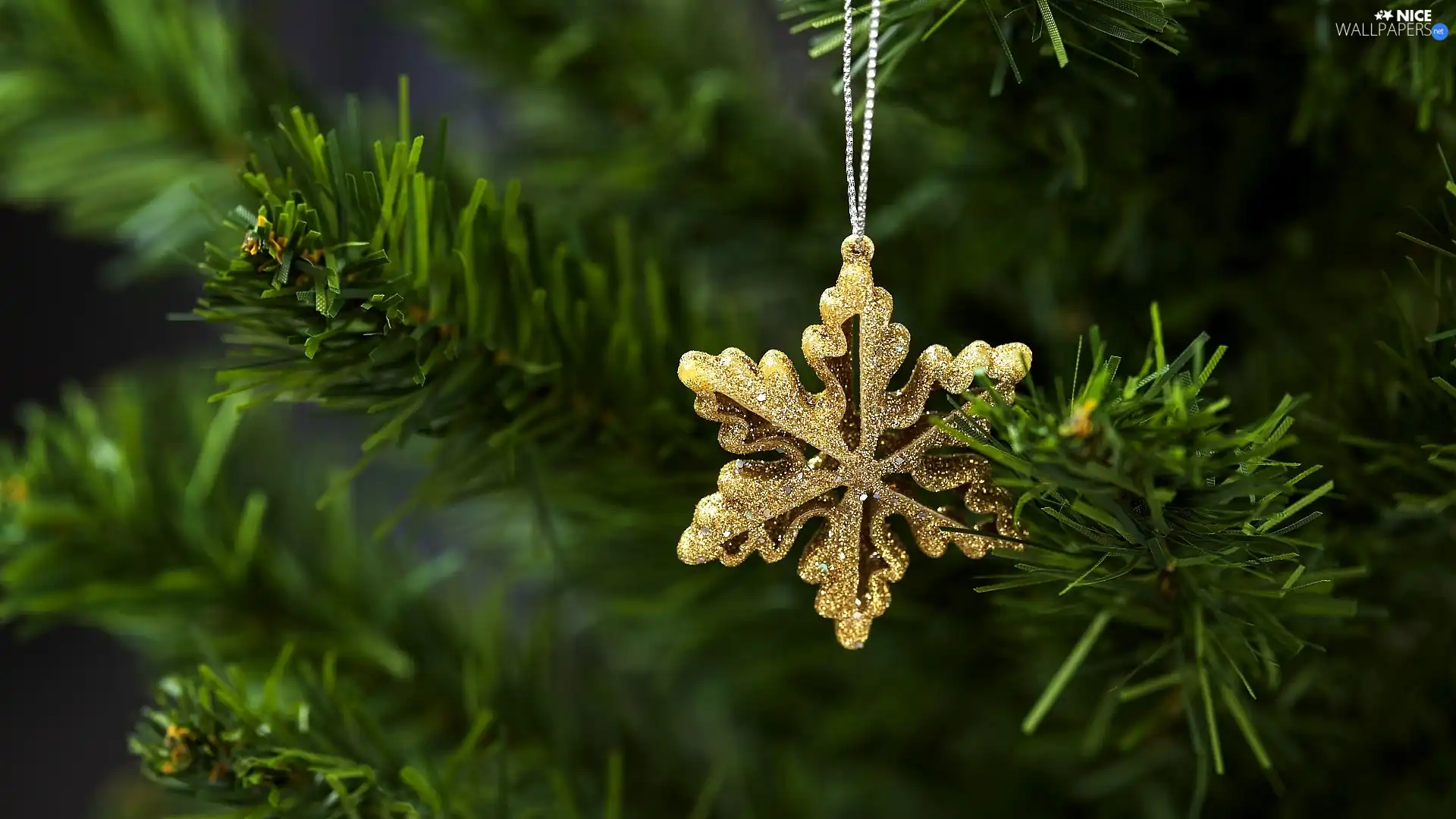 Pendant, snowflake, Christmas, Twigs, decoration