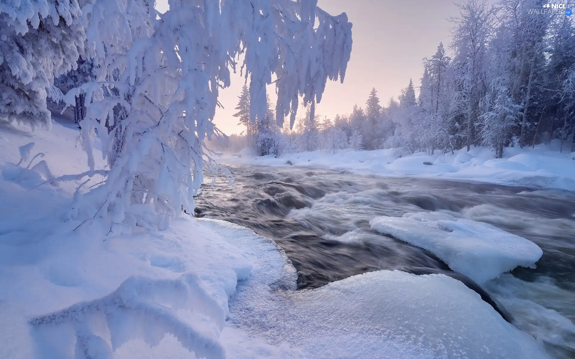viewes, Snowy, River, trees, winter
