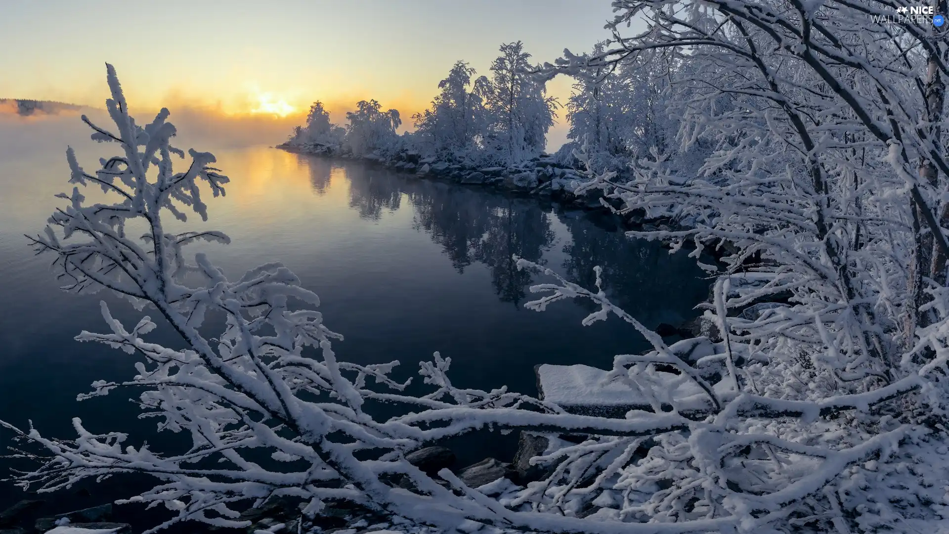 trees, winter, Sunrise, Snowy, lake, viewes, Fog