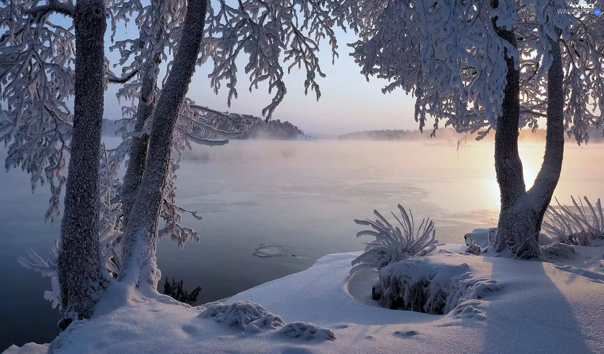 Snowy, trees, Sunrise, viewes, grass, lake, winter, branch pics