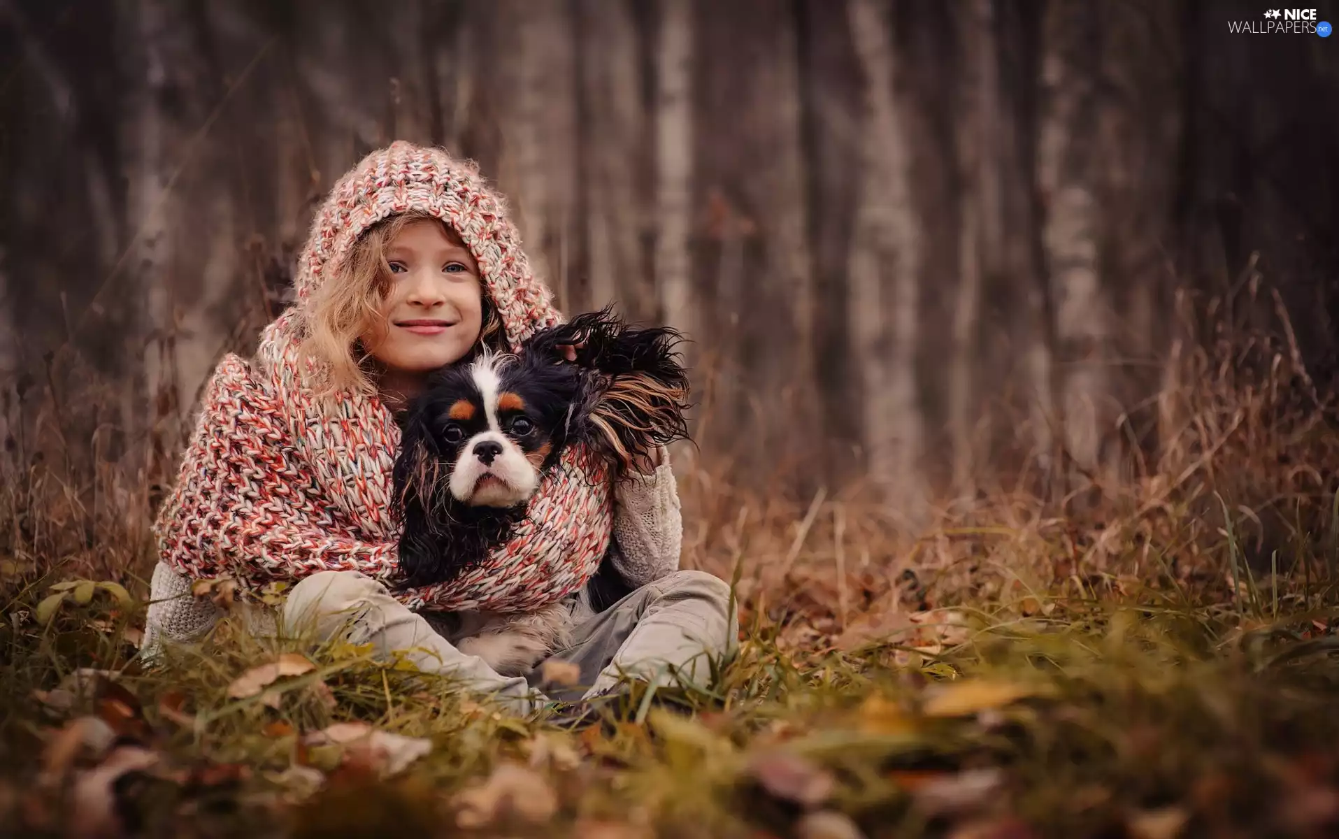 Cavalier King Charles spaniel, forest, girl