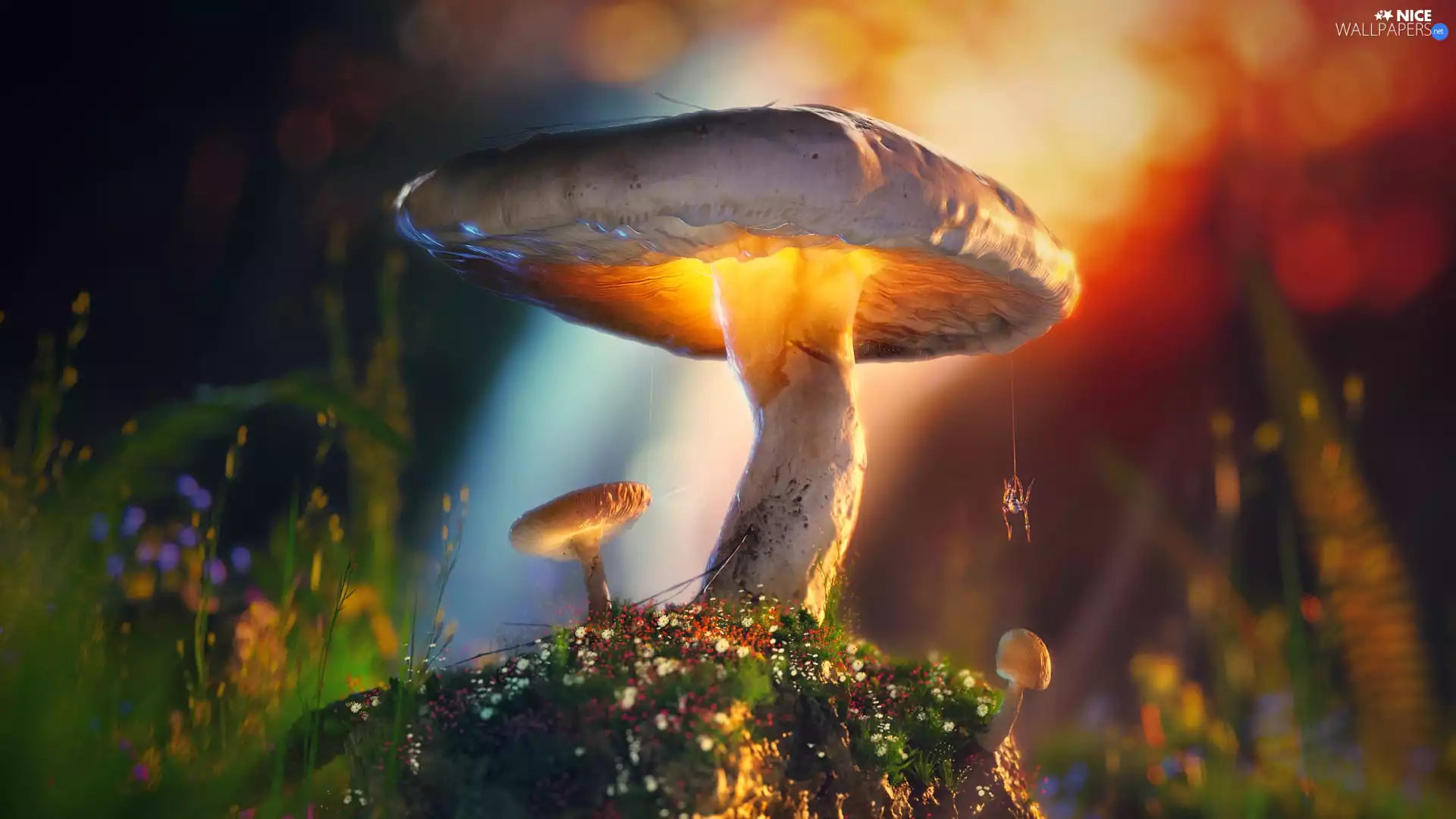 ligh, Mushrooms, flash, Spider, graphics, sun, luminosity