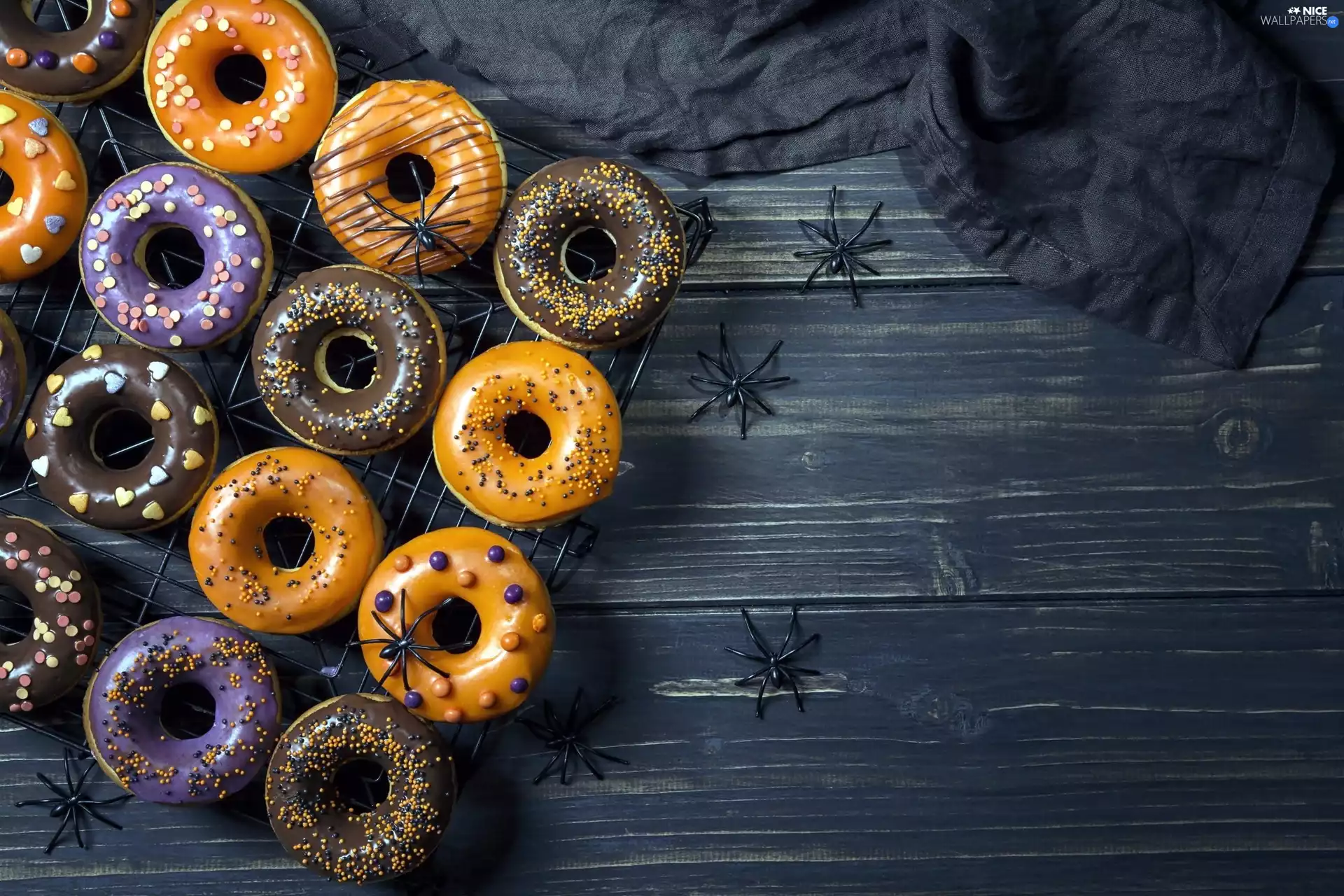 spiders, donuts, Donuts