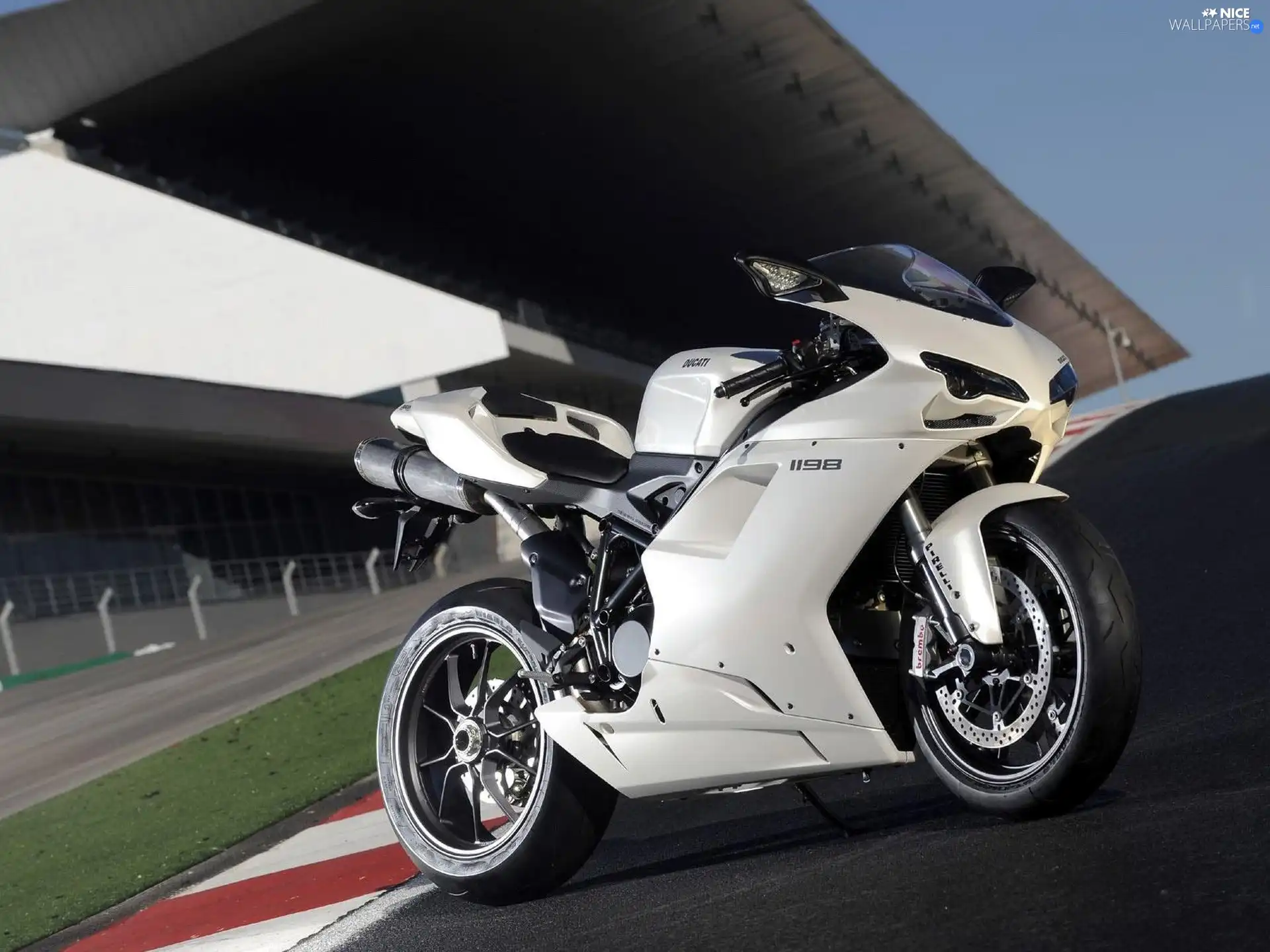 White, Super, Sport, Ducati 1198