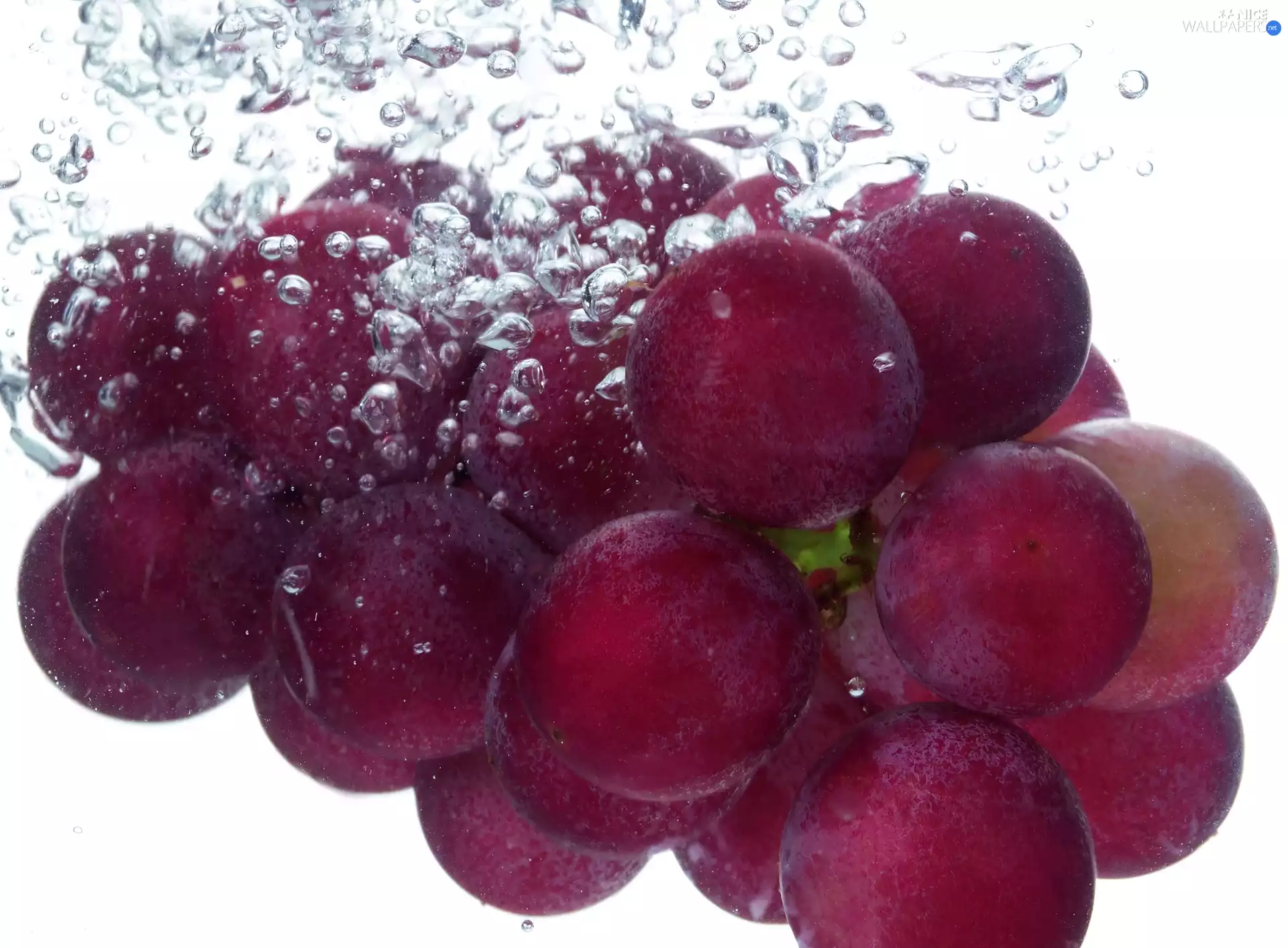 spray, fresh, Grapes