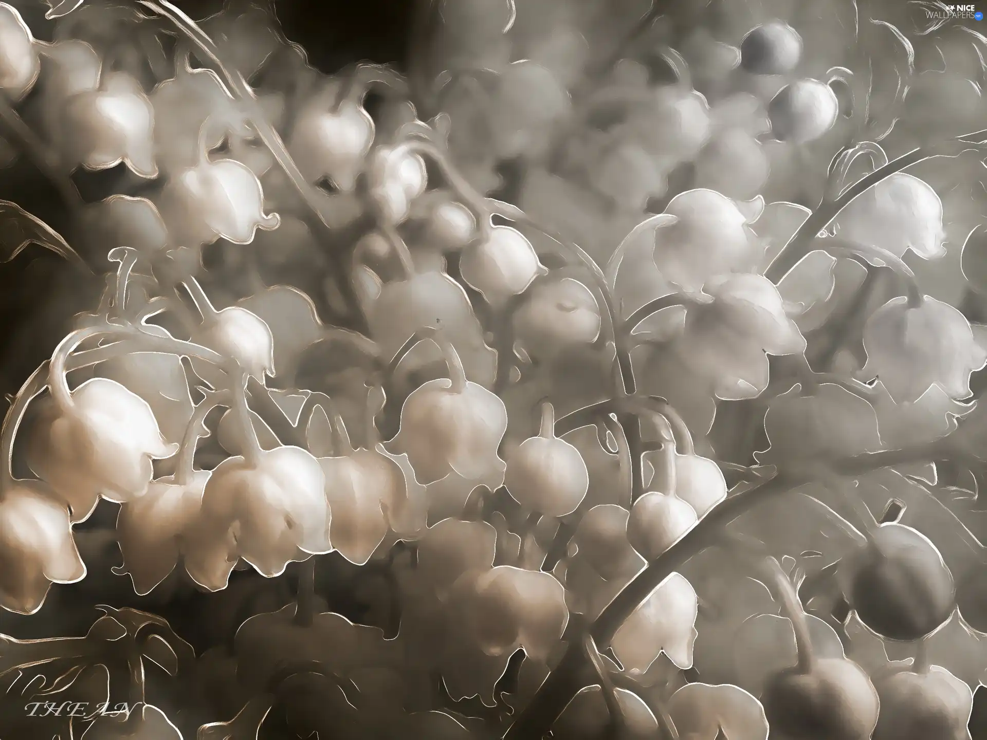 Spring, lilies, Flowers
