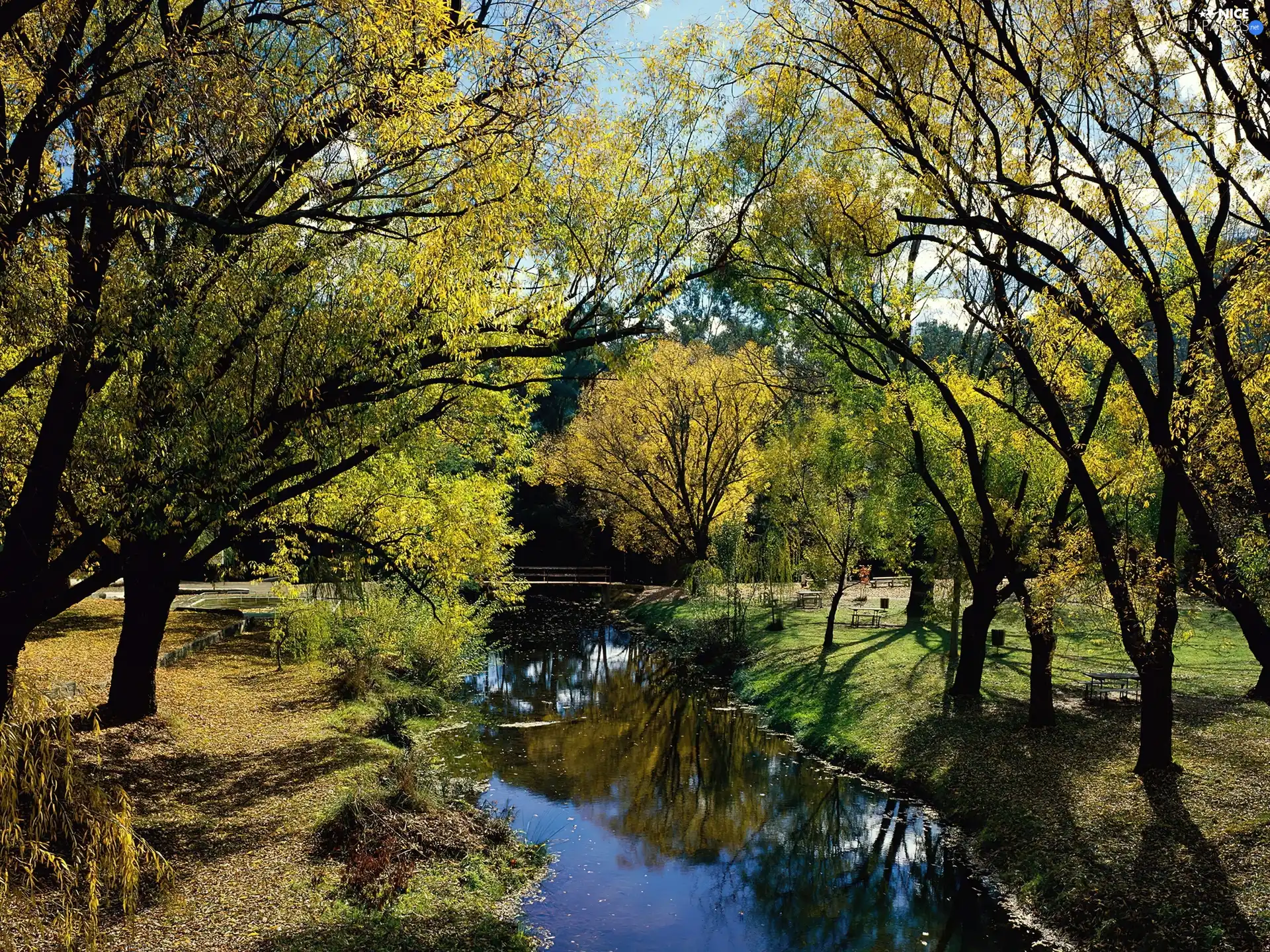 Park, Creek, Spring, Morses