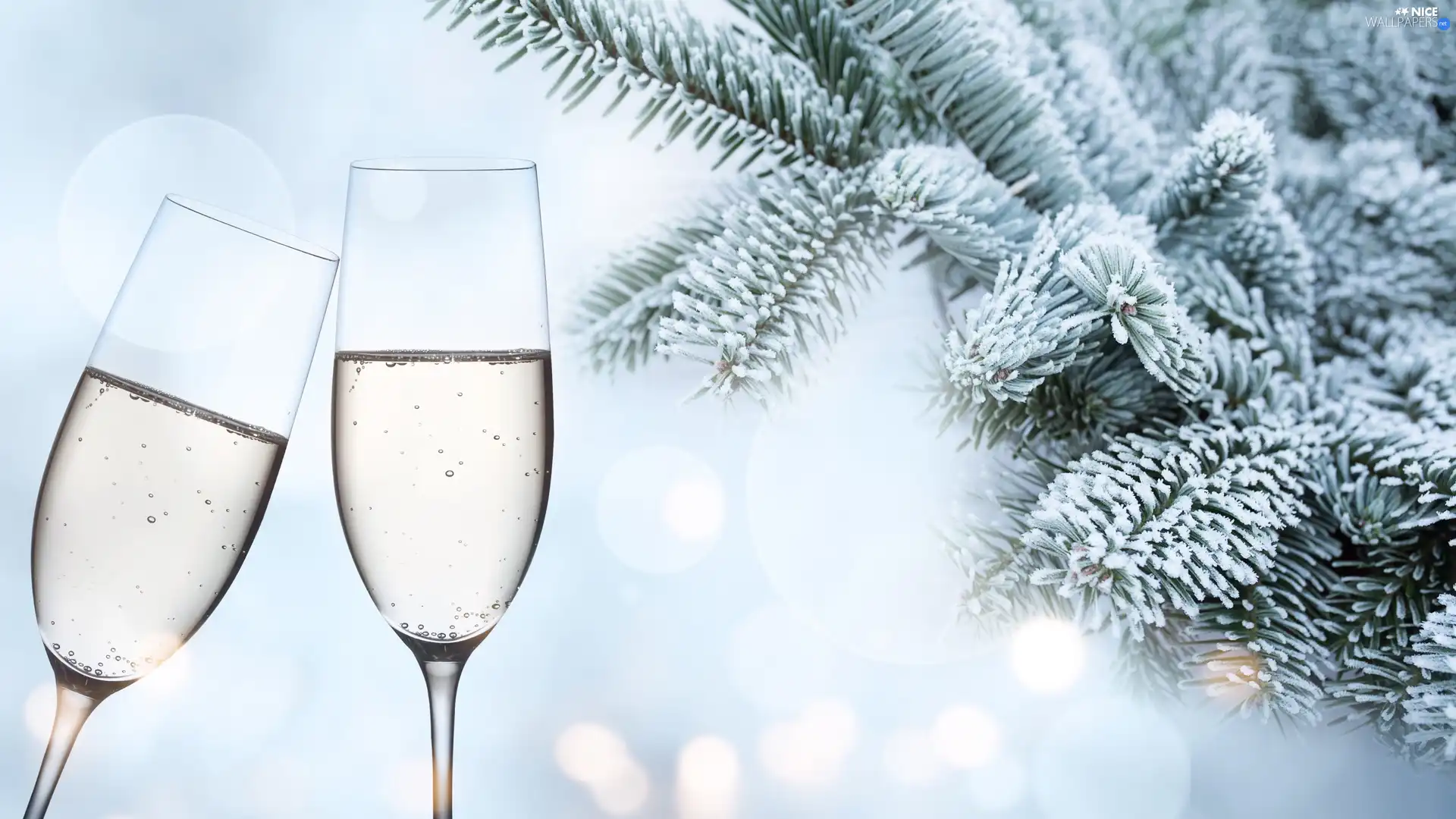 Twigs, glasses, snow, Champagne, Two cars, spruce, Bokeh