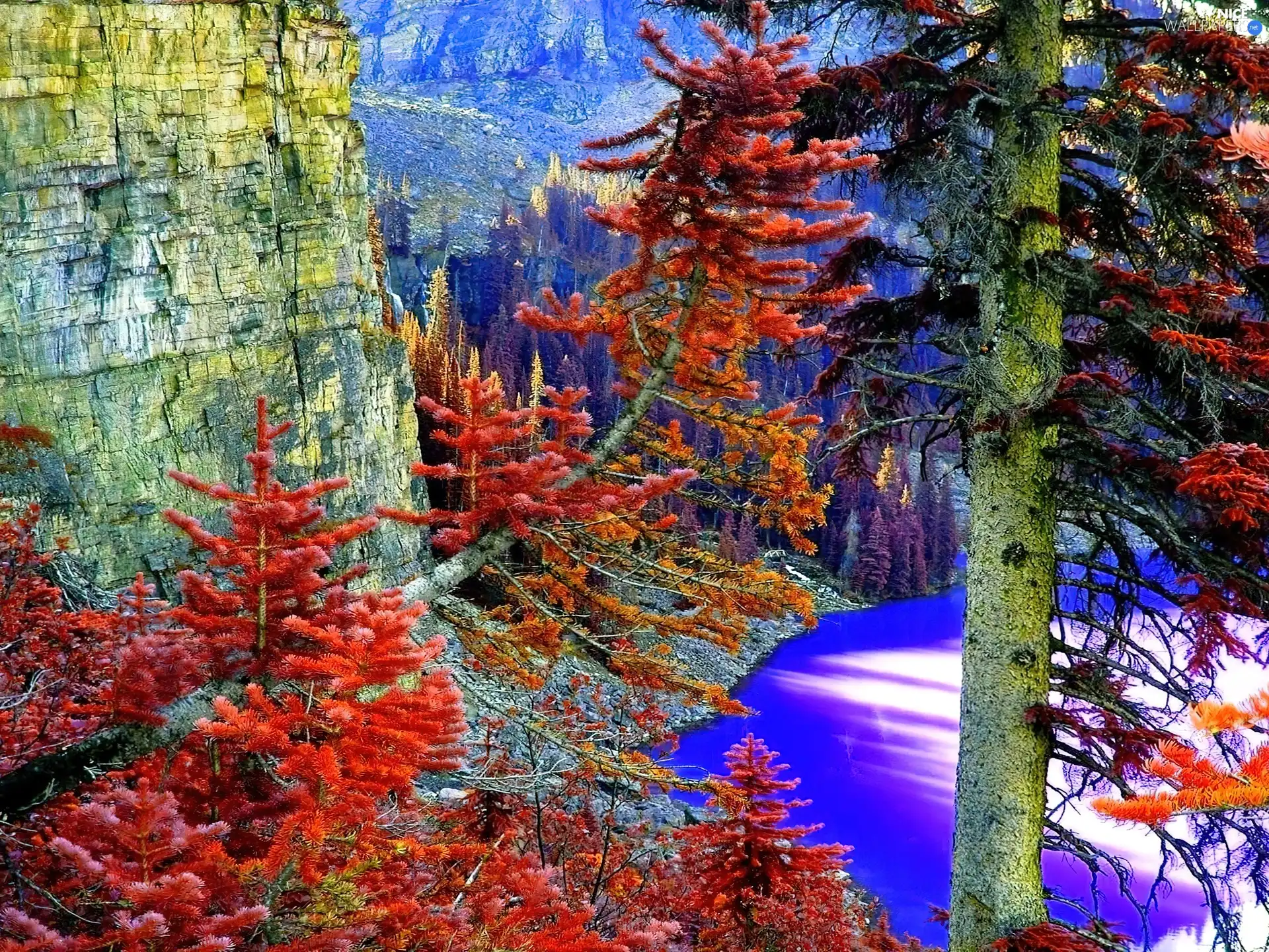 Spruces, Mountains, Autumn