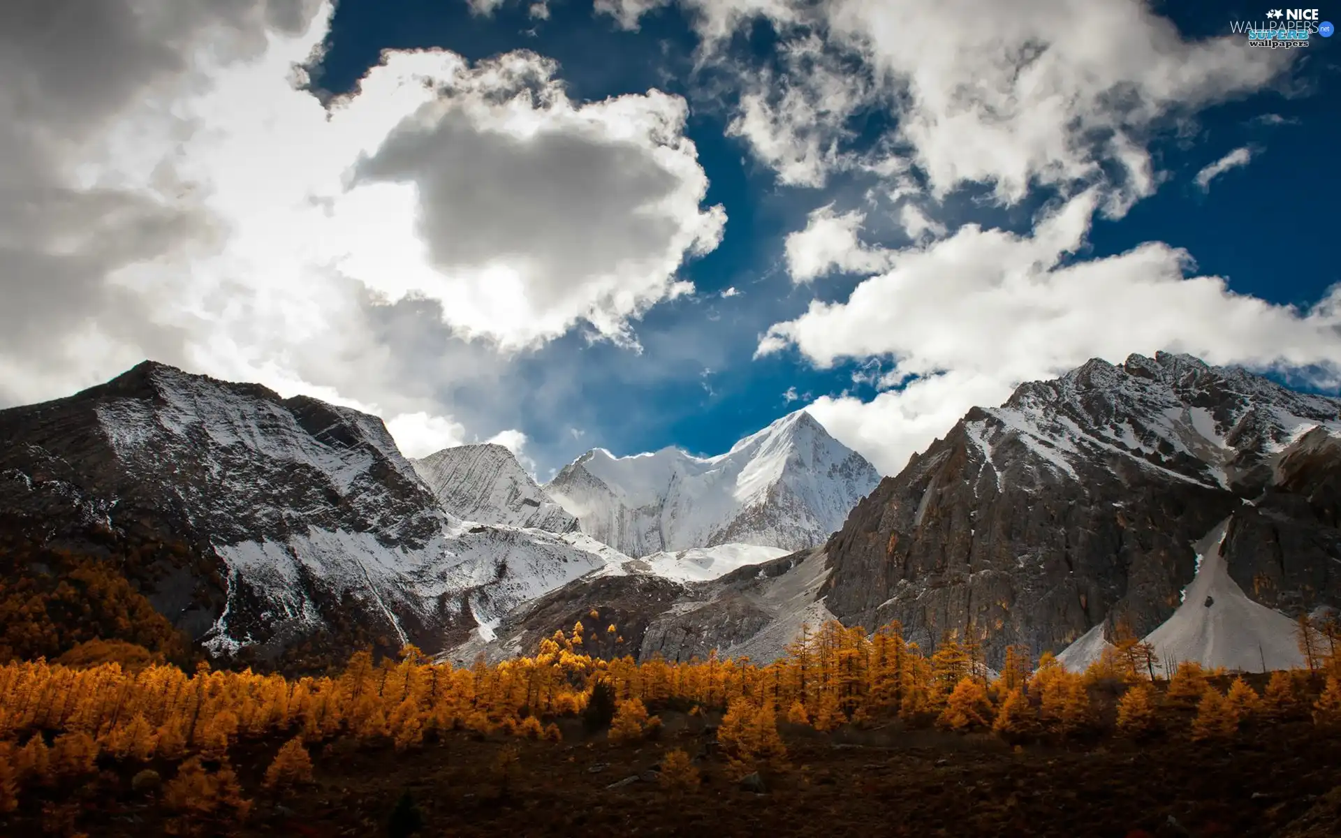 clouds, Yellow, Spruces, Mountains