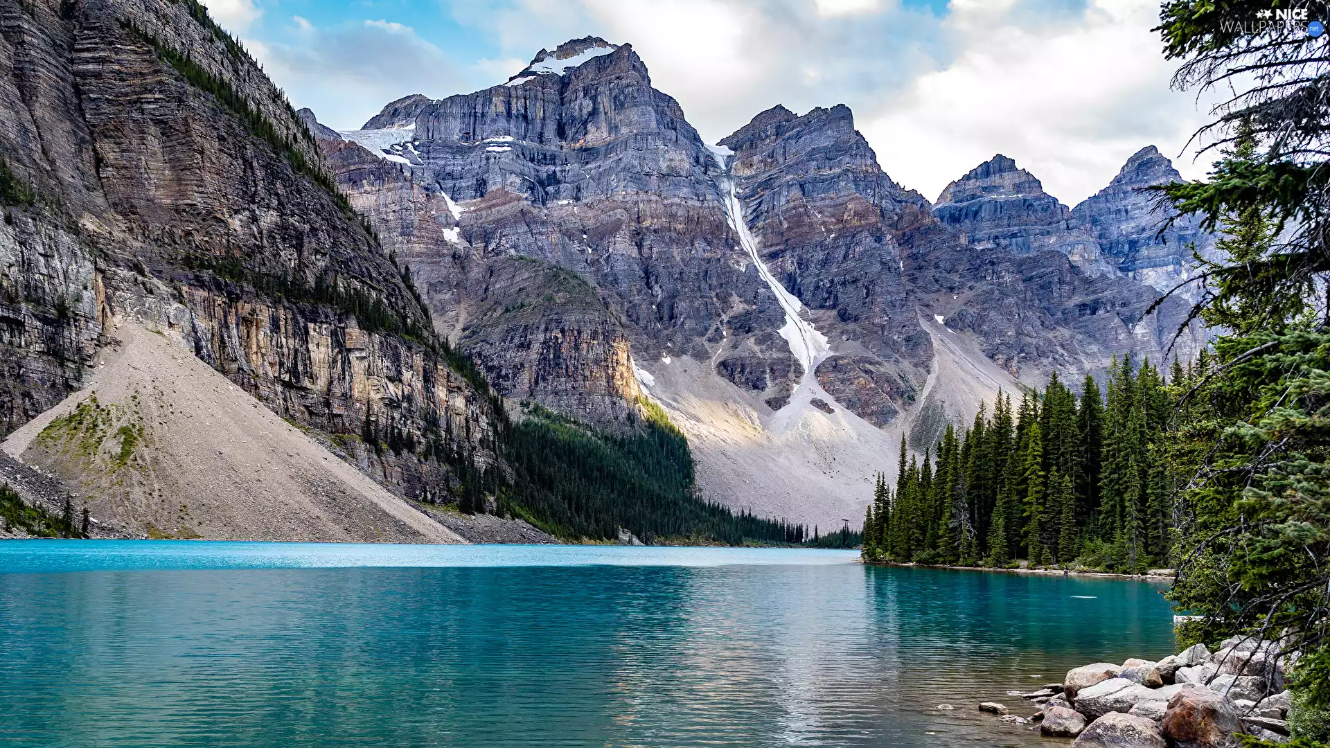 Spruces, Mountains, Banff National Park, Canada, Lake Moraine, forest