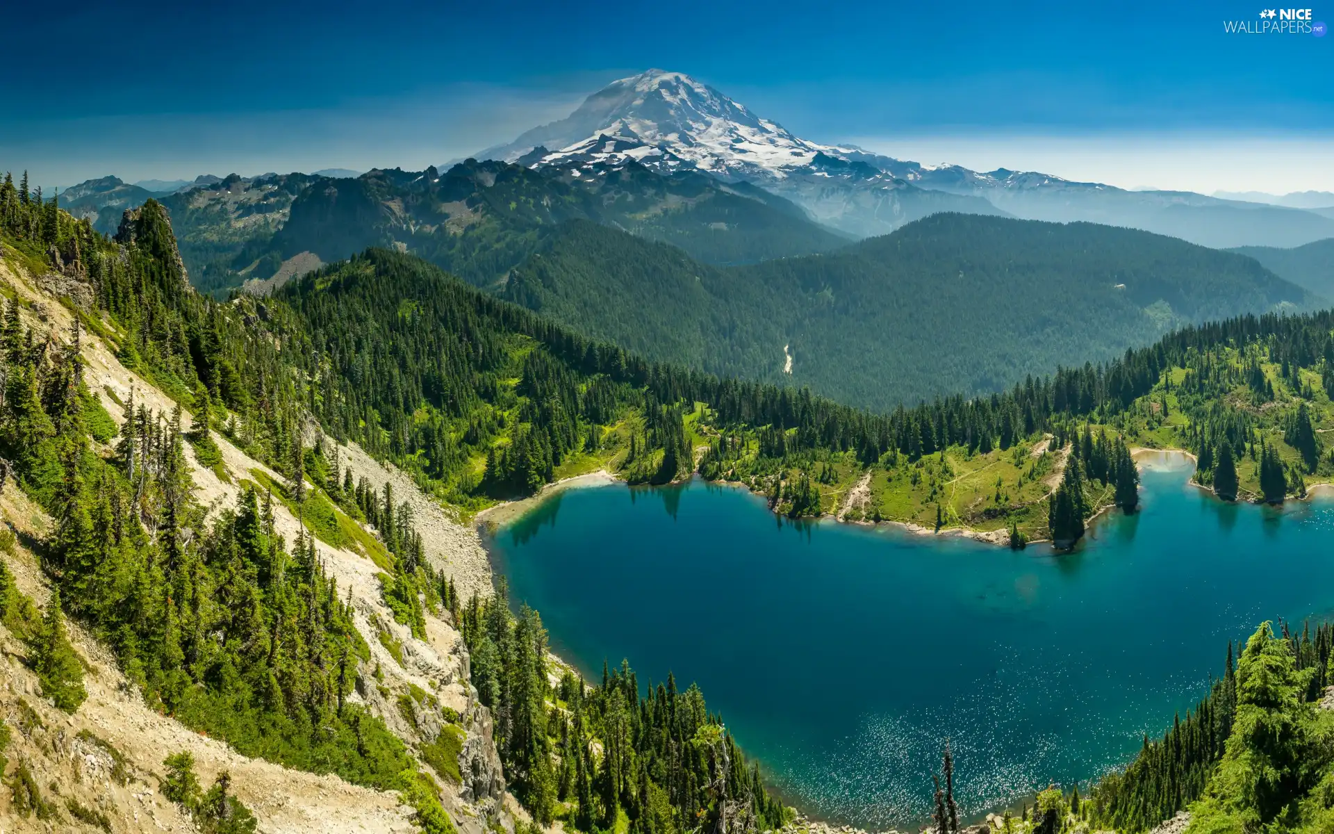 woods, Mountains, viewes, Spruces, trees, lake