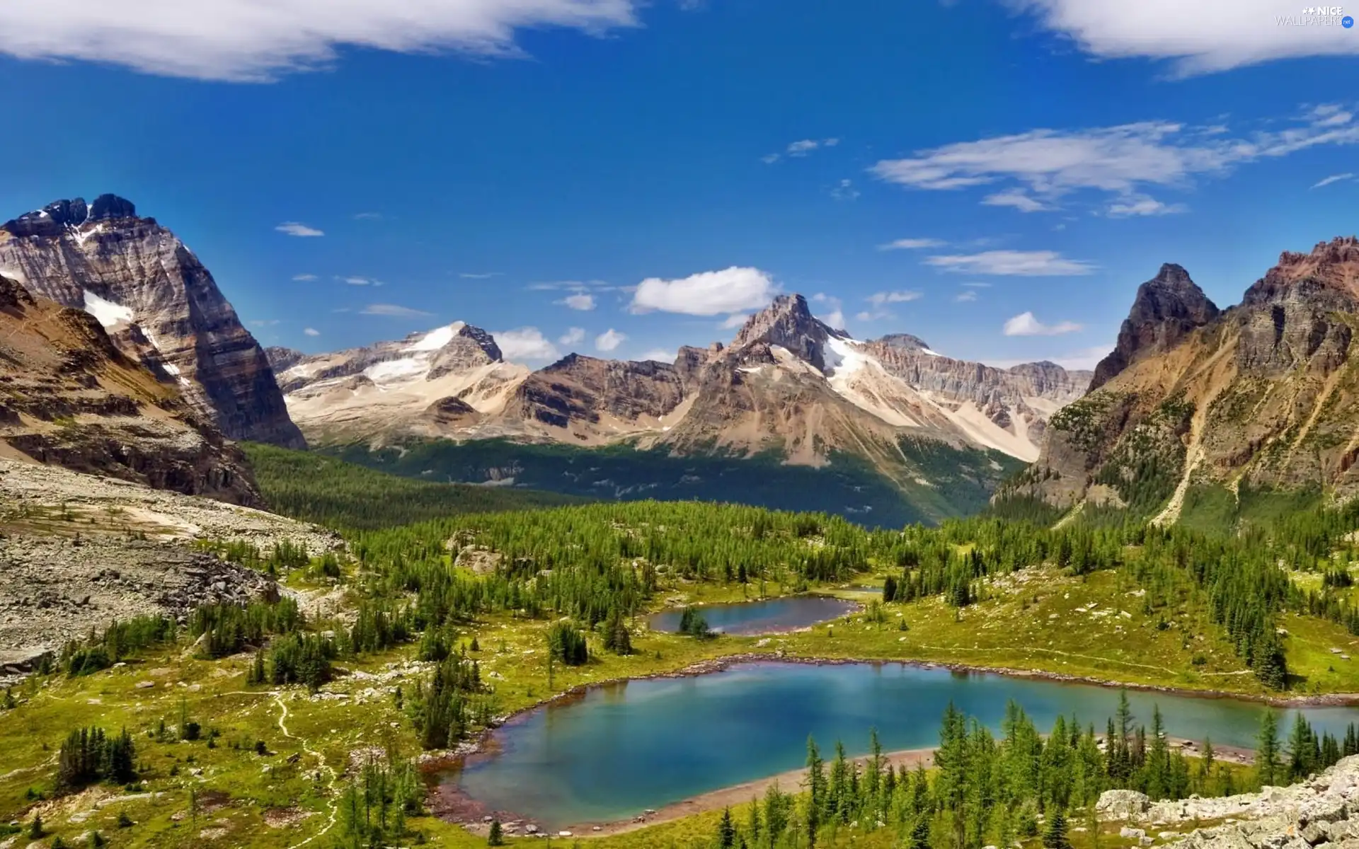 Spruces, Mountains, lakes