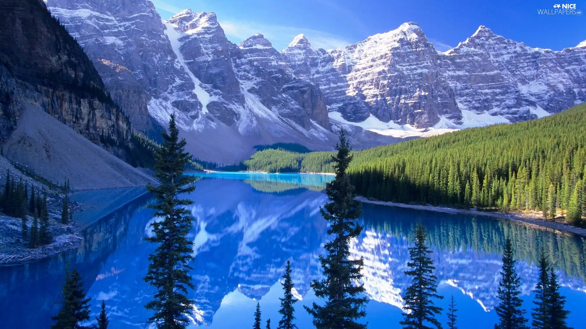 mountainous, lake, Spruces, landscape