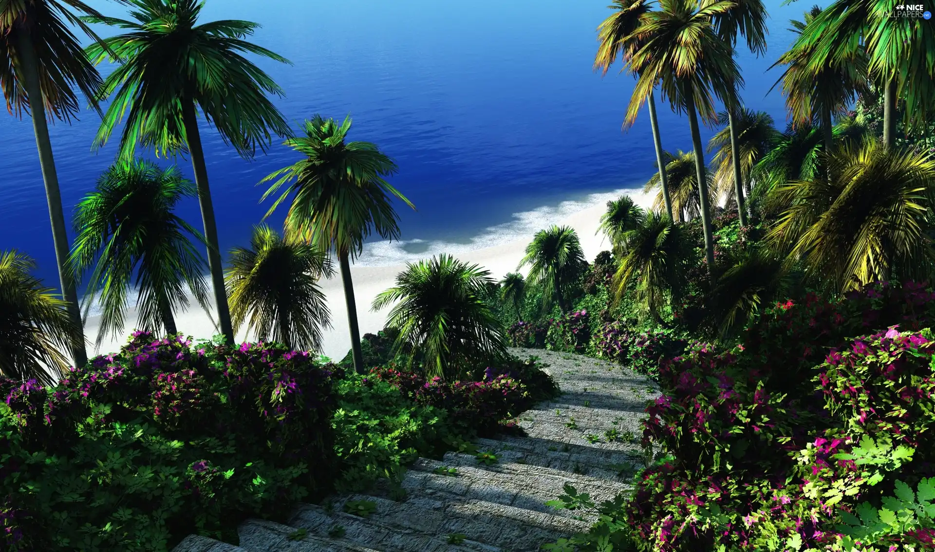 sea, Palms, Stairs, green ones