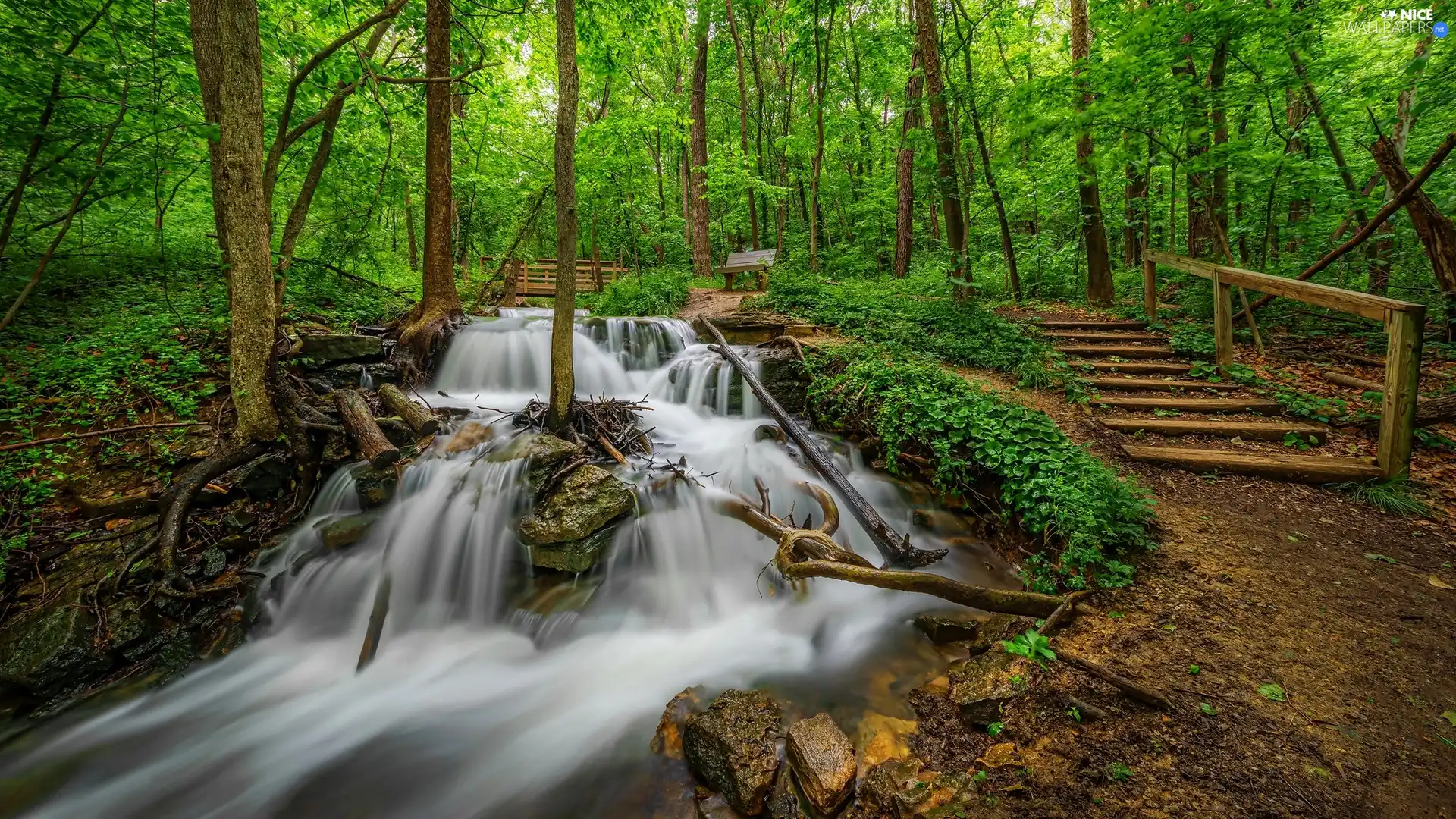 Stairs, forest, waterfall