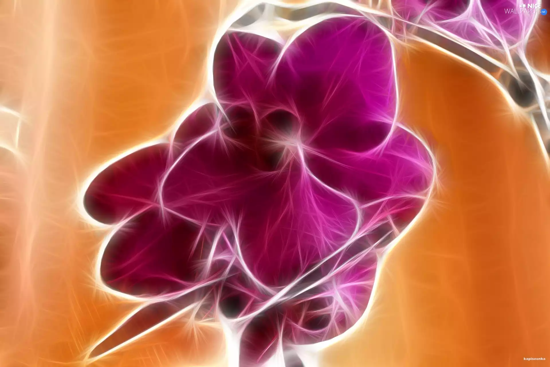 stalk, Violet, orchid