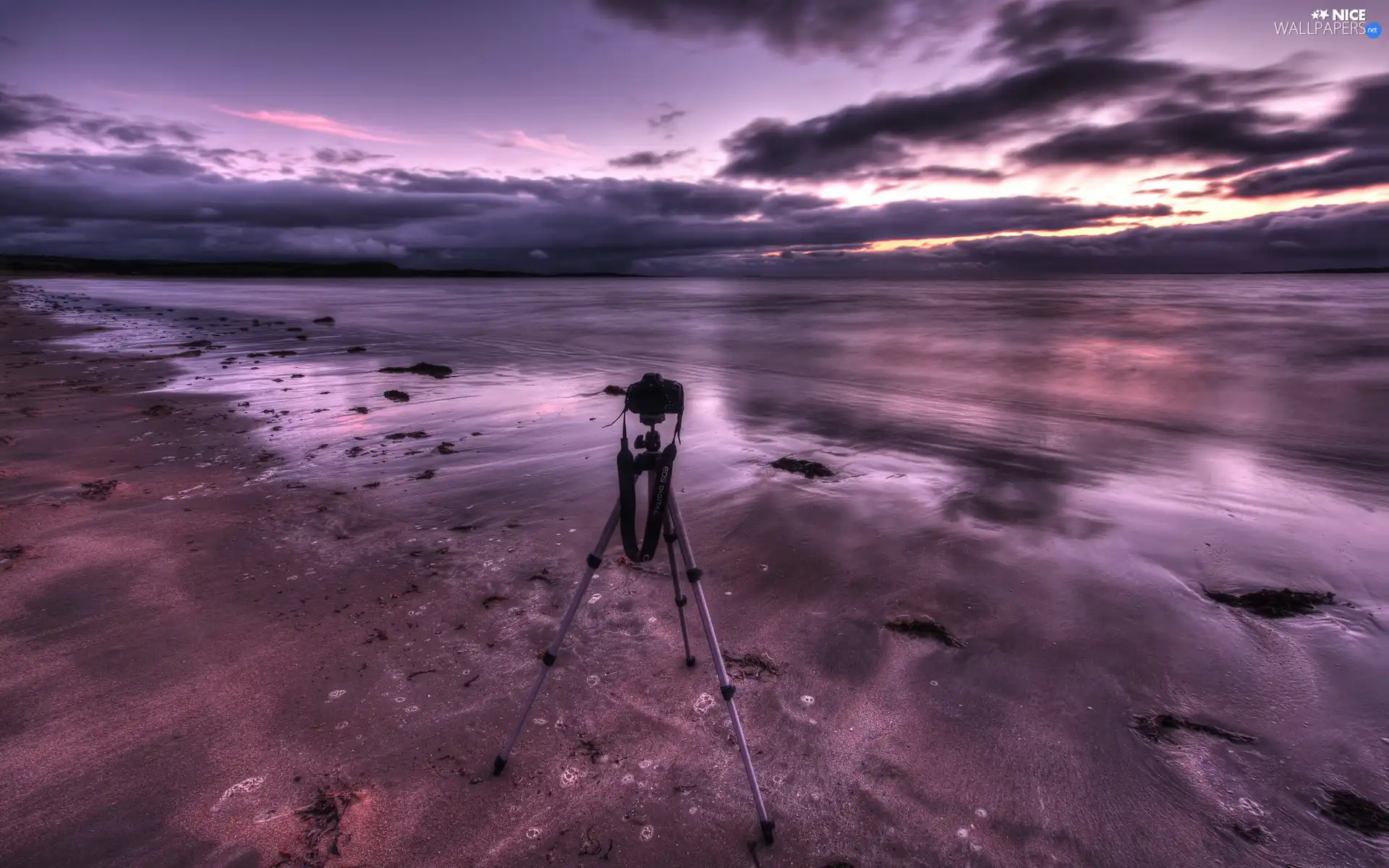 Beaches, Camera, stand, sea
