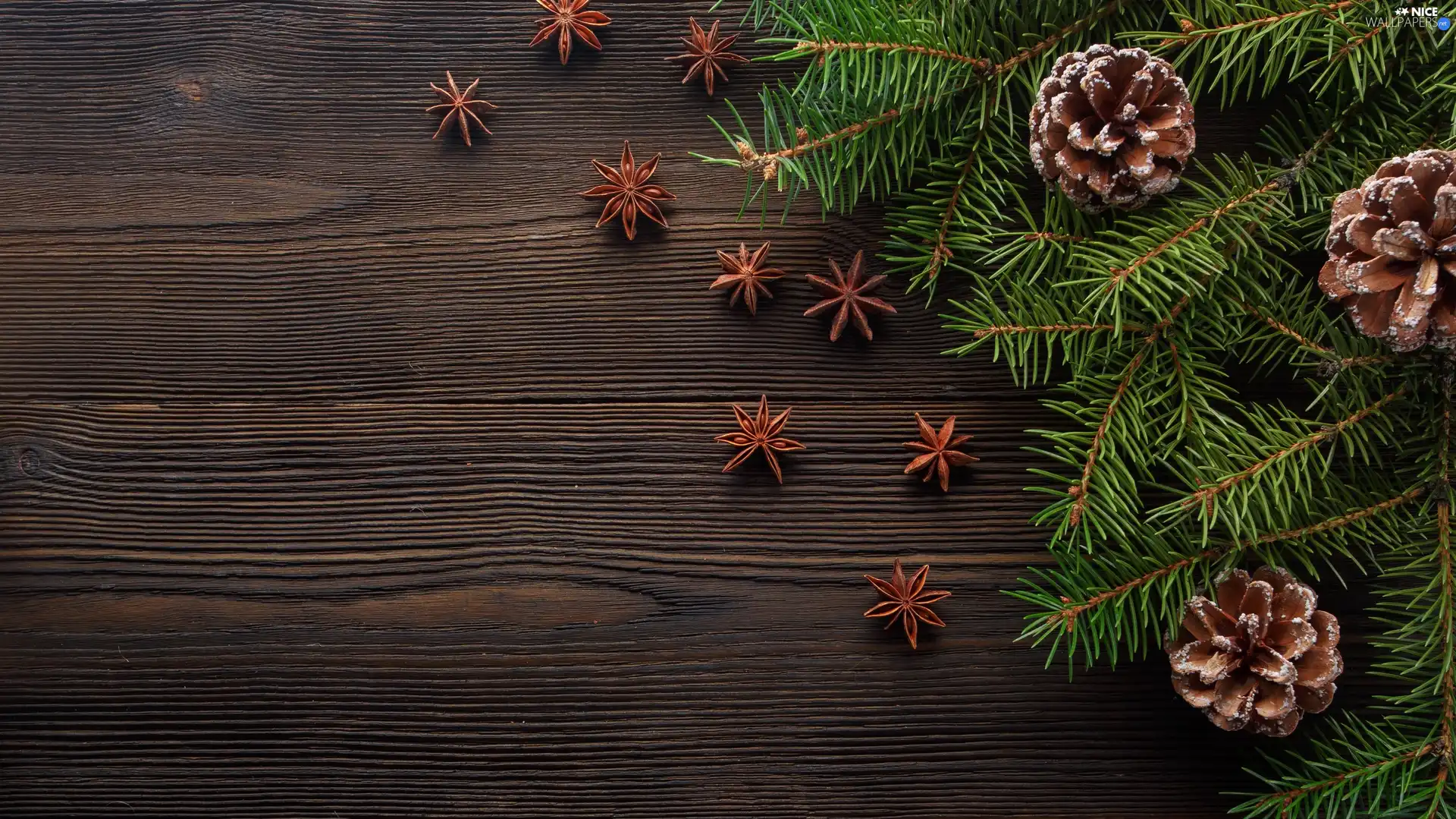 Twigs, Star Anise, Christmas, cones