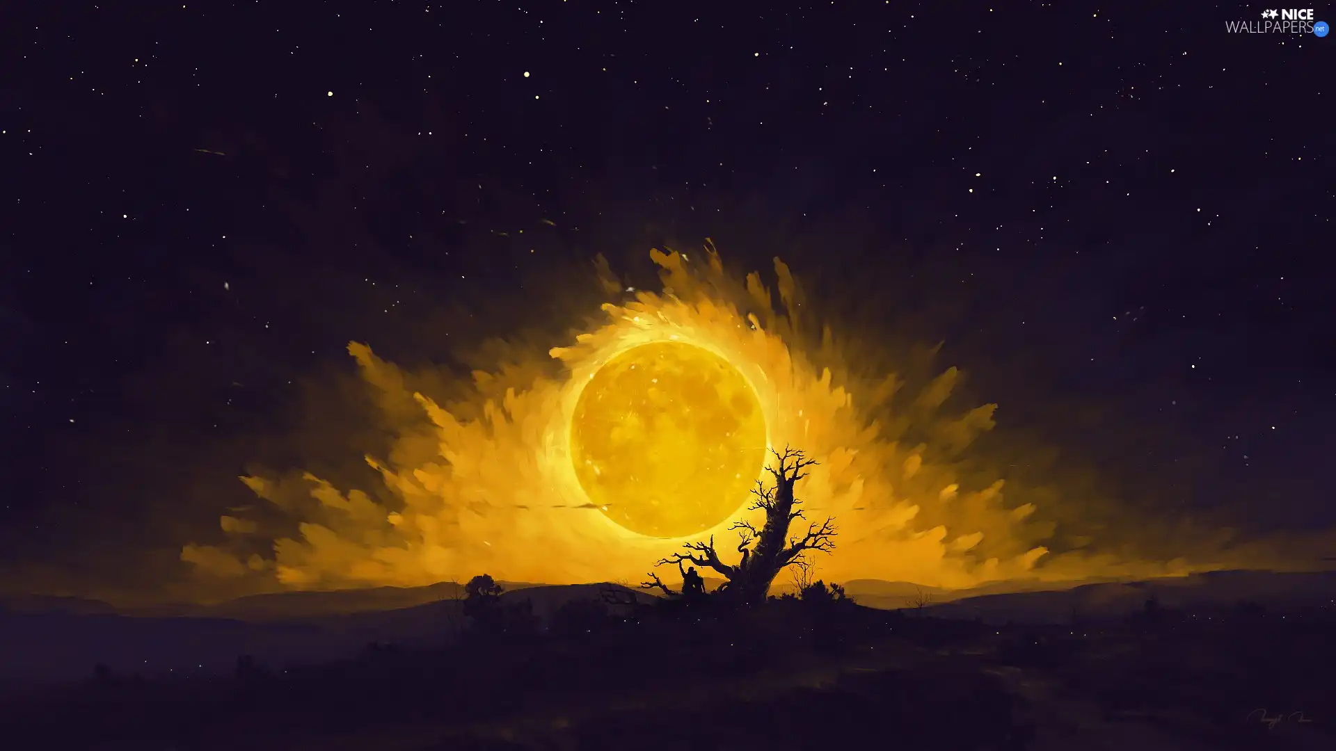 moon, Sky, glamour, star, graphics, fullness, trees