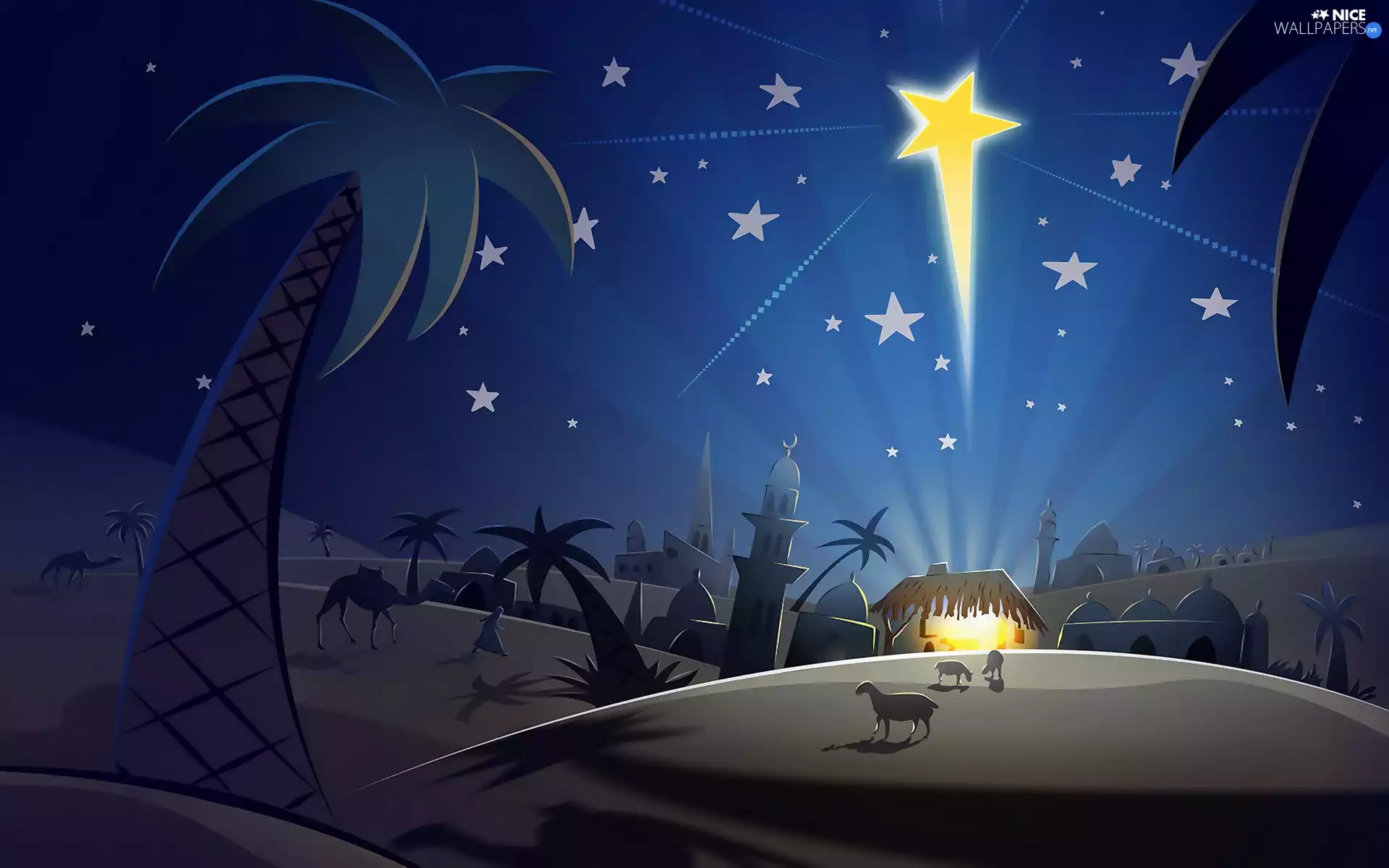 starfish, Bethlehem