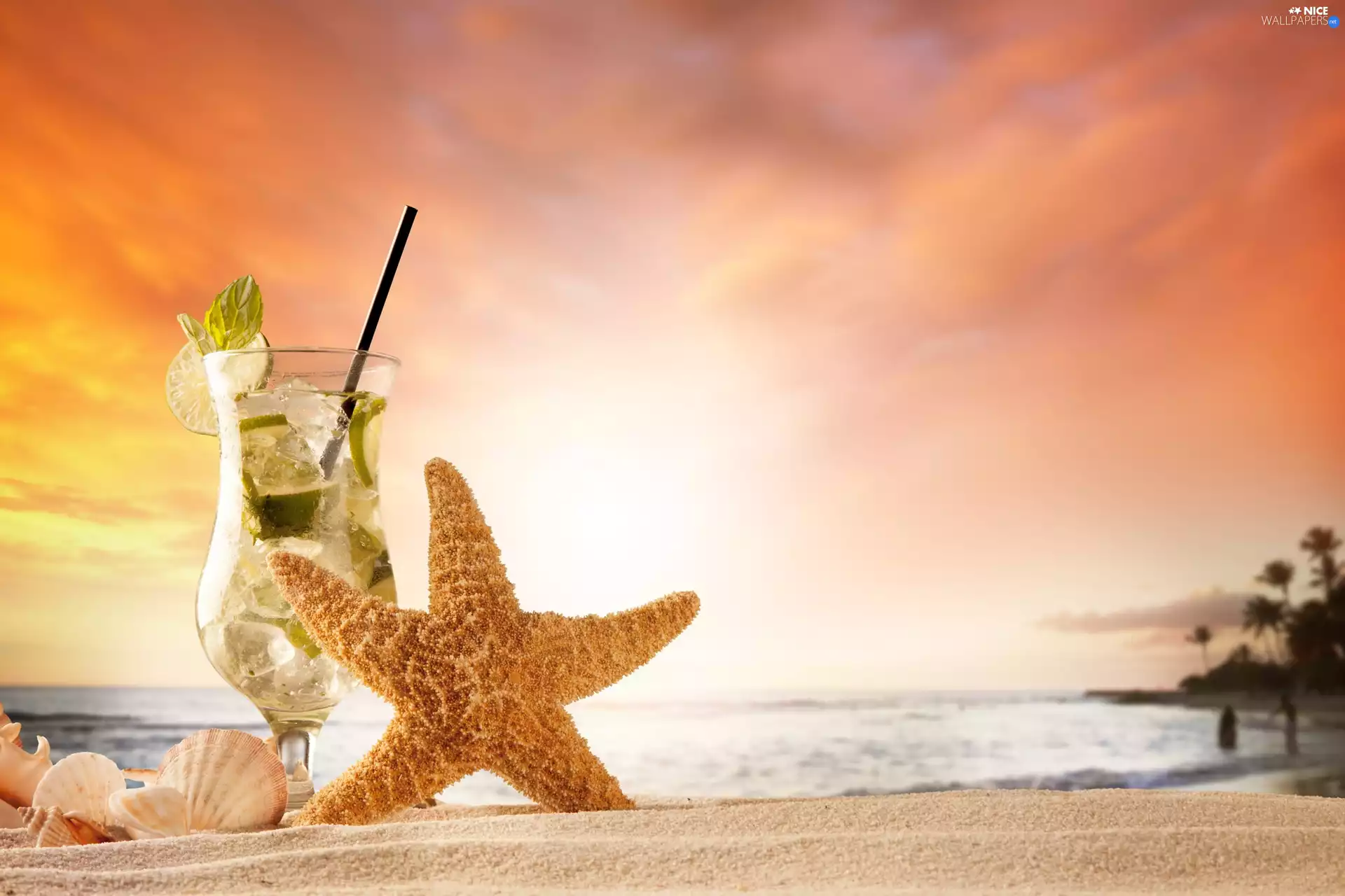 Shells, Mojito, Sand, starfish, Drink, Beaches, holiday